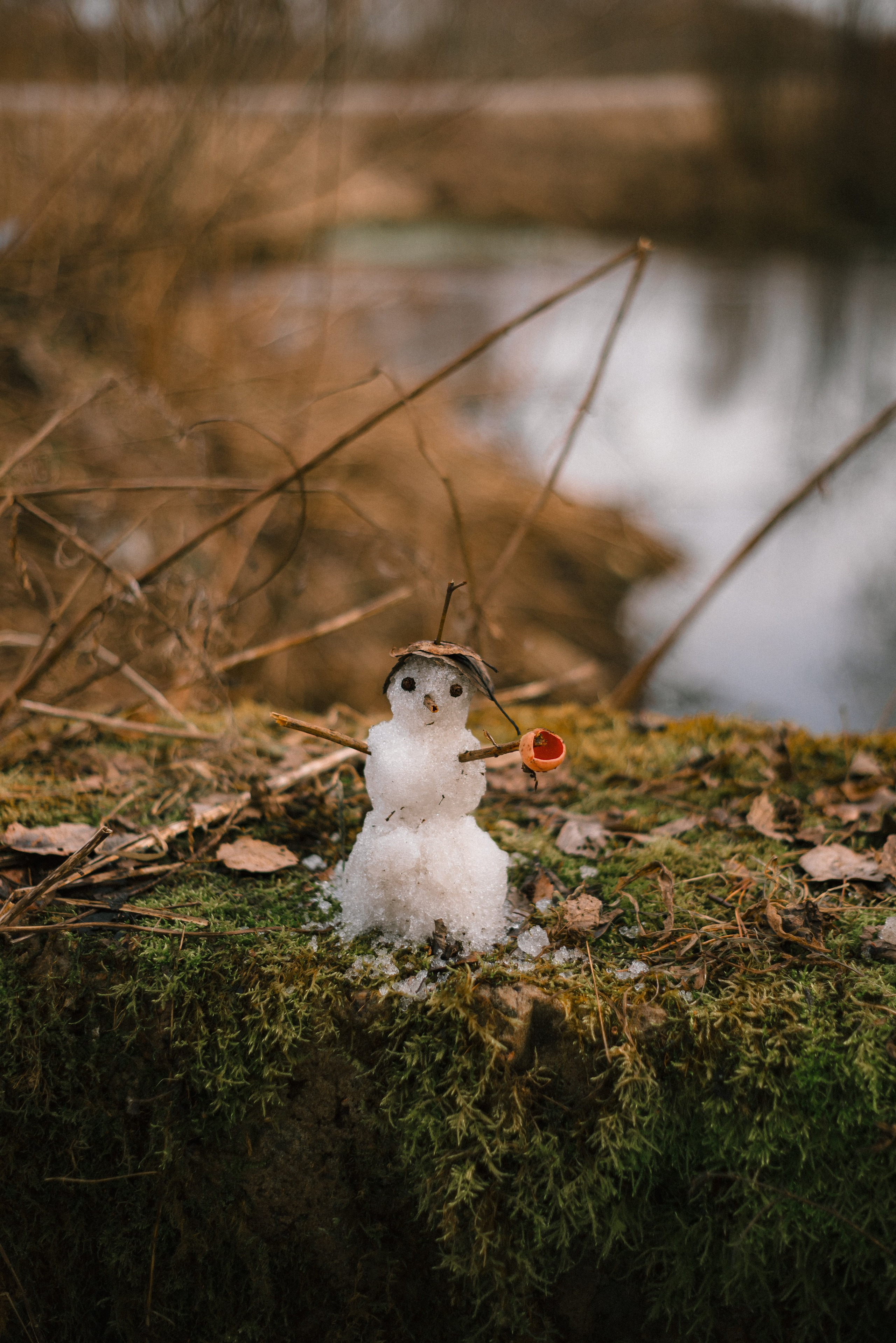 Что ты видишь. Платонов Олег — фотограф Санкт-Петербург
