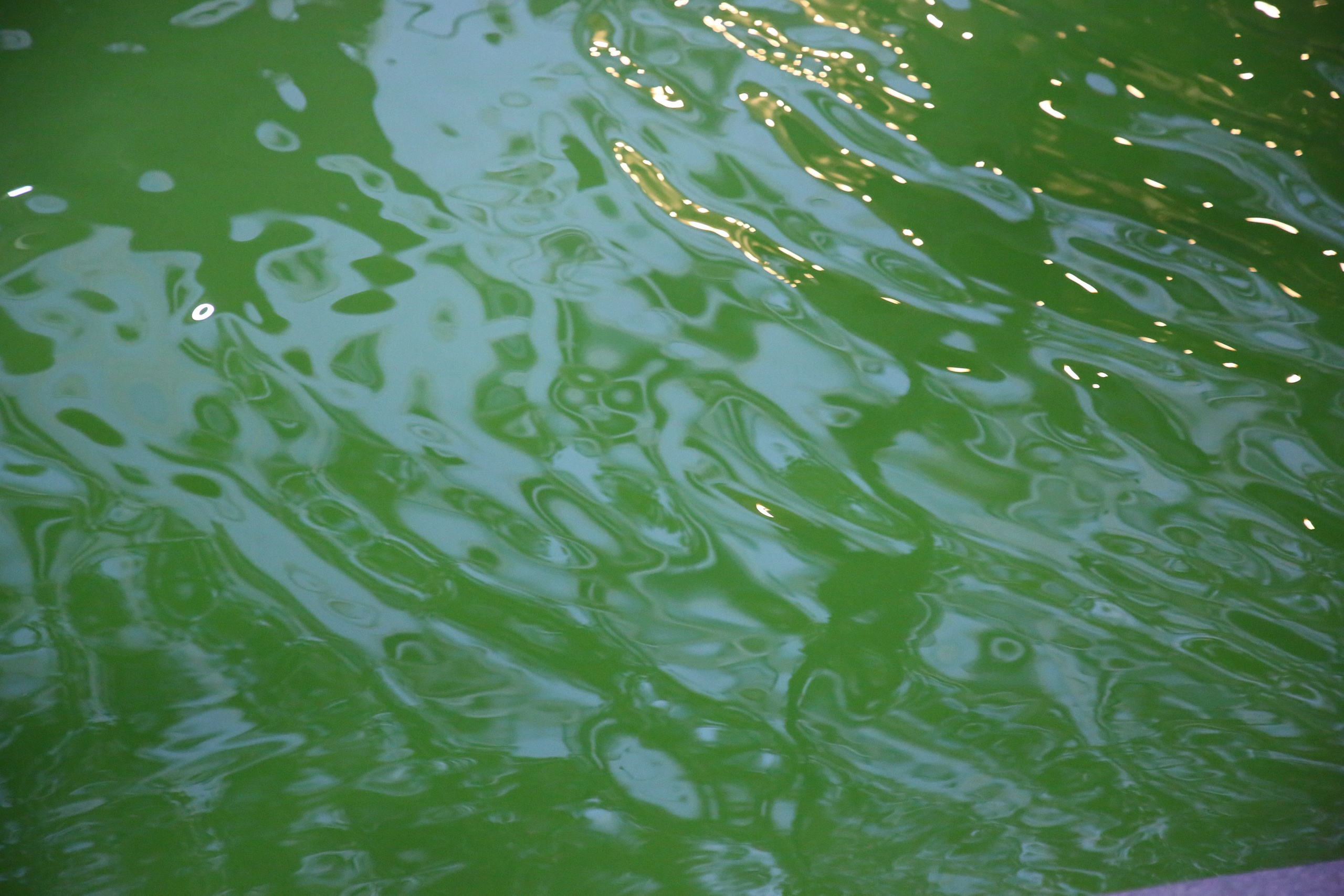 Lisbon, Portugal. Andrey Filippov Photographer