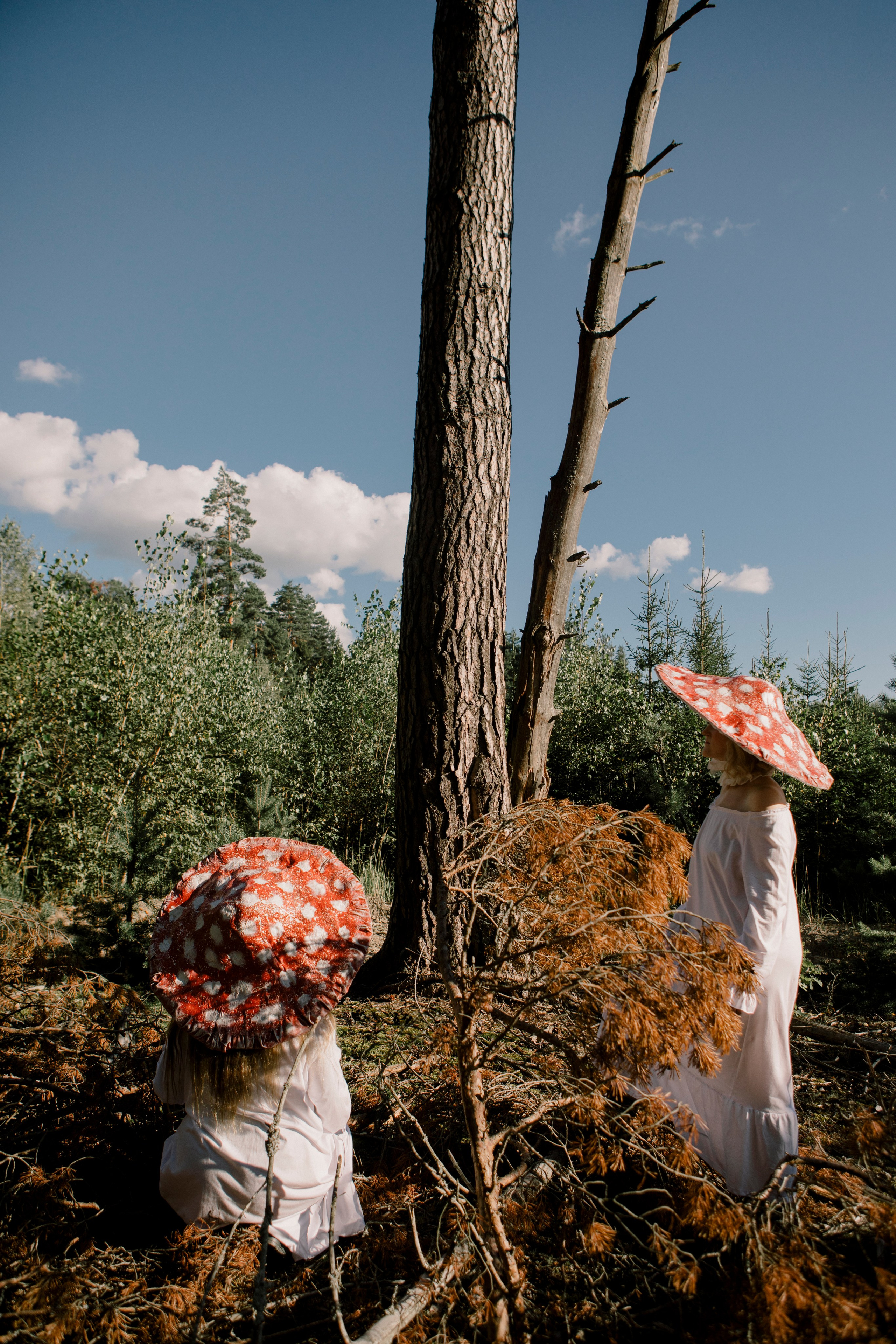 Грибы. Ольга Пилант. АРТ, бэкстейдж, свадебная и семейная фотография, городской портрет, интерьерная фотография