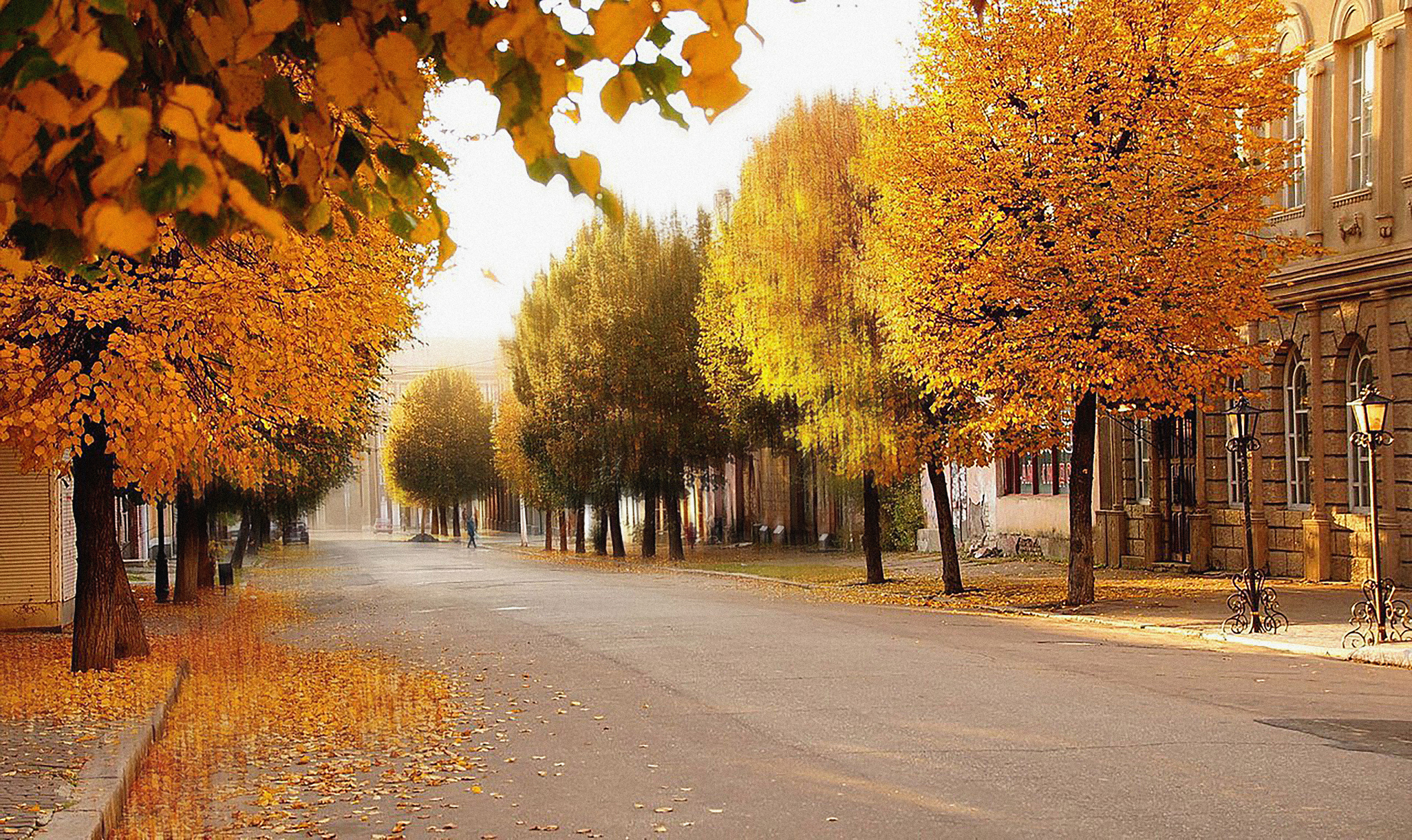 Екатерина +Антон 02.09.2023. Свадебный и семейный Фотограф