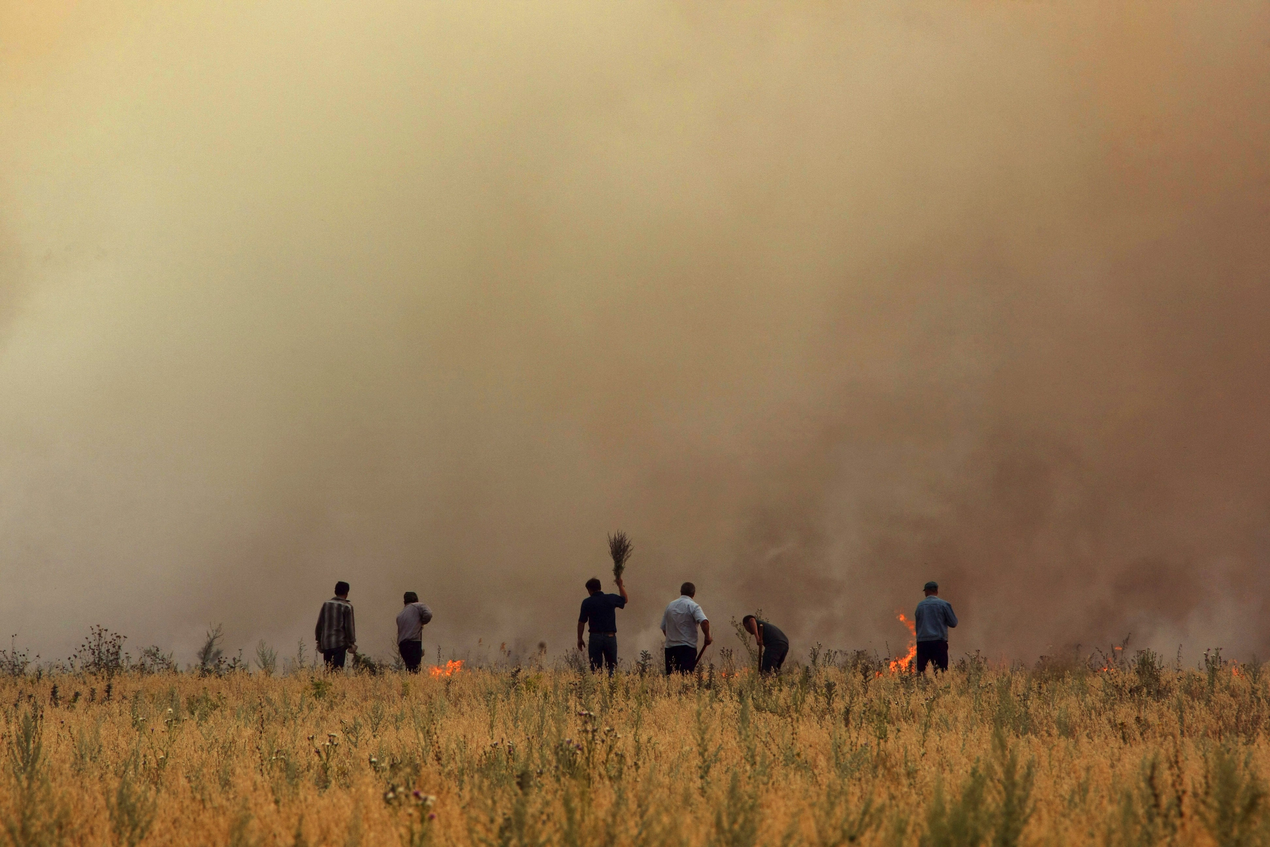 2010 — Гран-при. Фотообъединение Самарского областного отделения Союза журналистов России