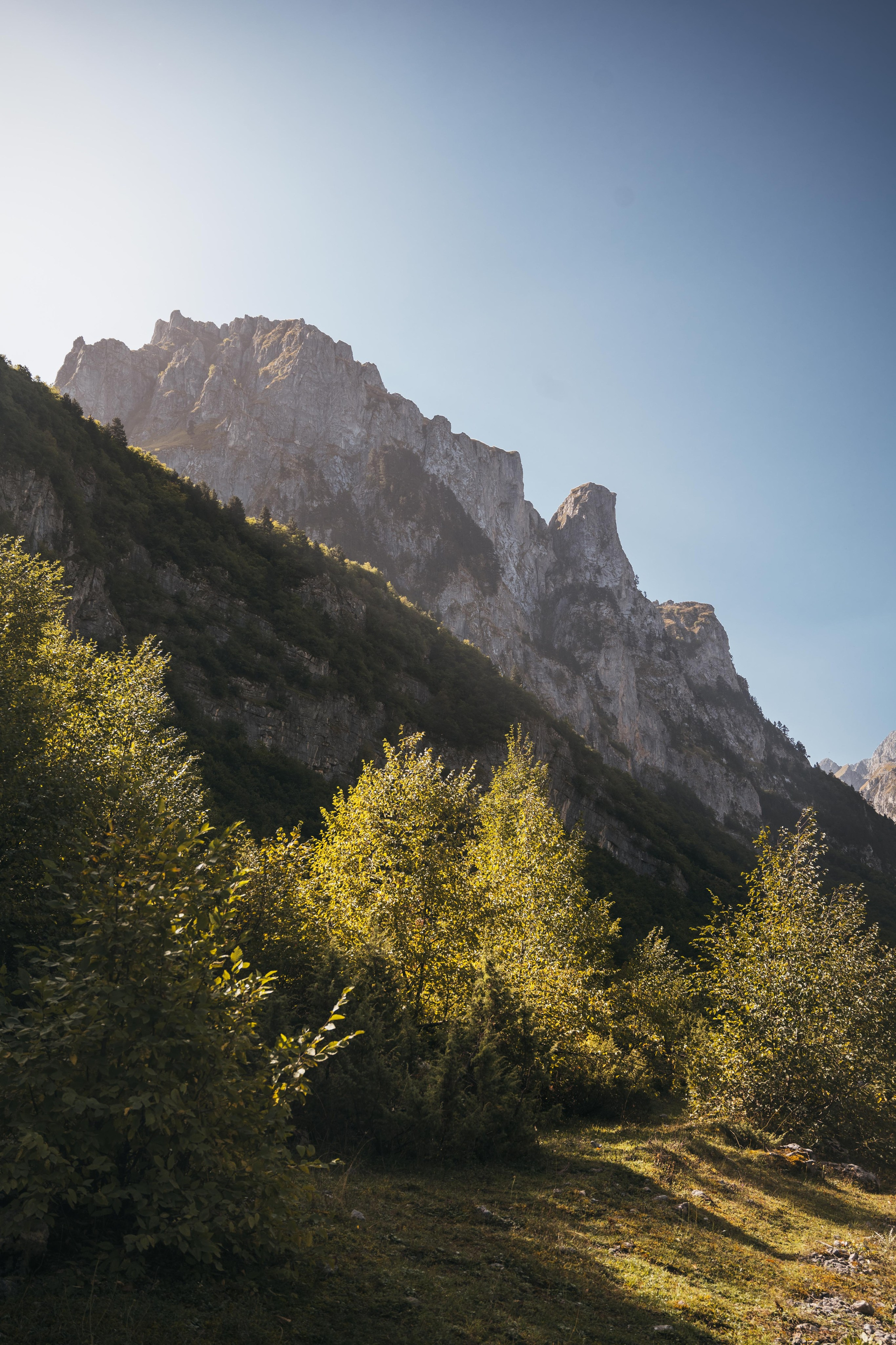 ДОЛИНА РАПОЯНА. ЧЕРНОГОРИЯ. Фотограф в Белграде Чугреева Елена