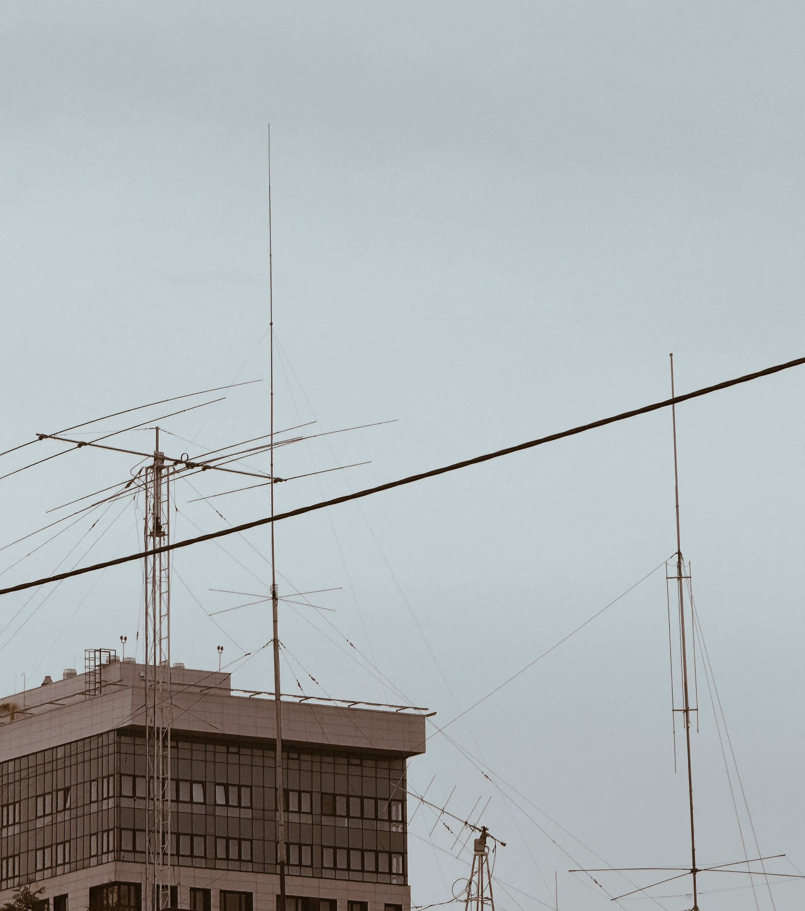 Уличный. Фотограф Арсений Королев