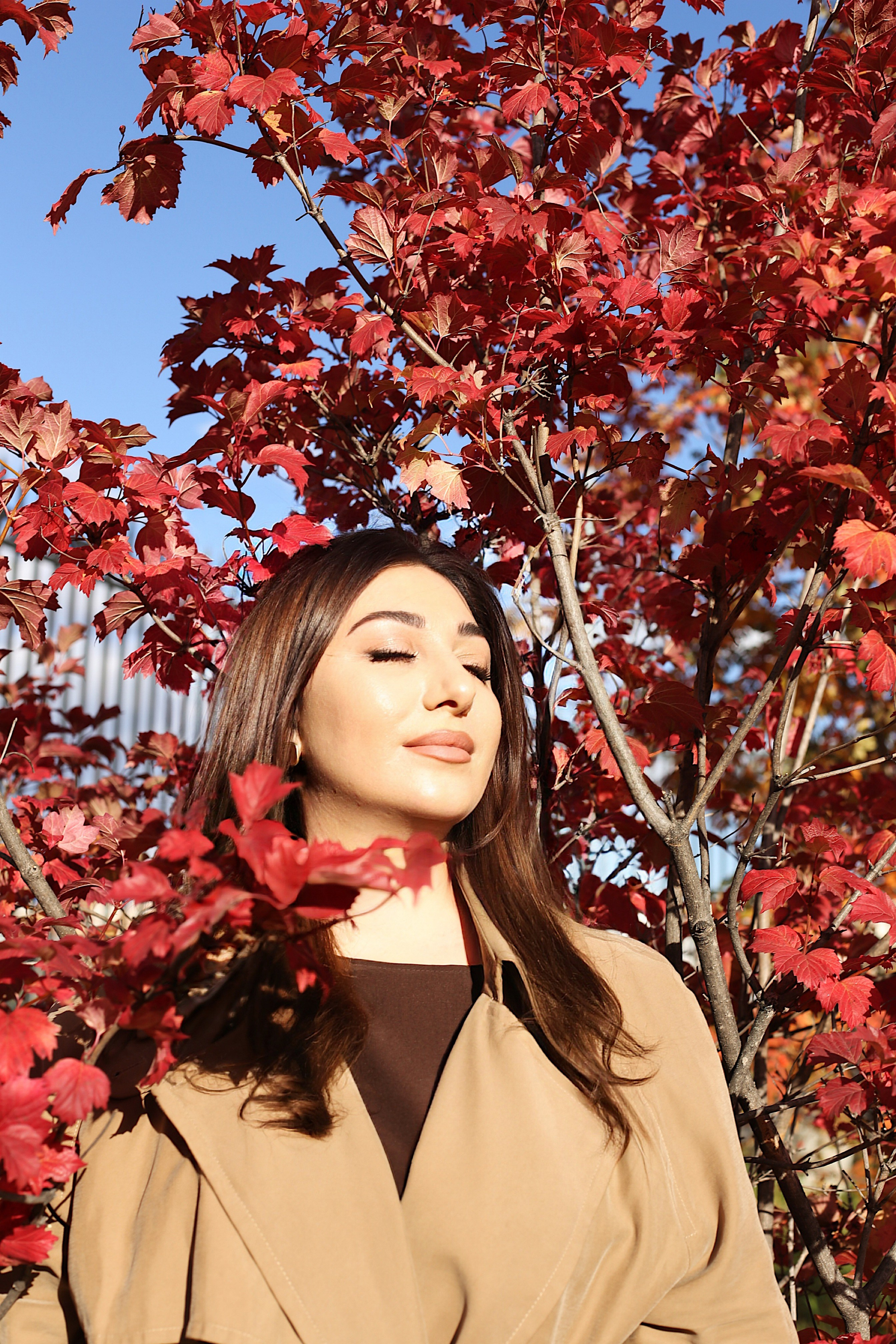 Гаяна. Осенняя прогулка. Фотограф Пирумян Анна. г. Сургут, г. Воронеж