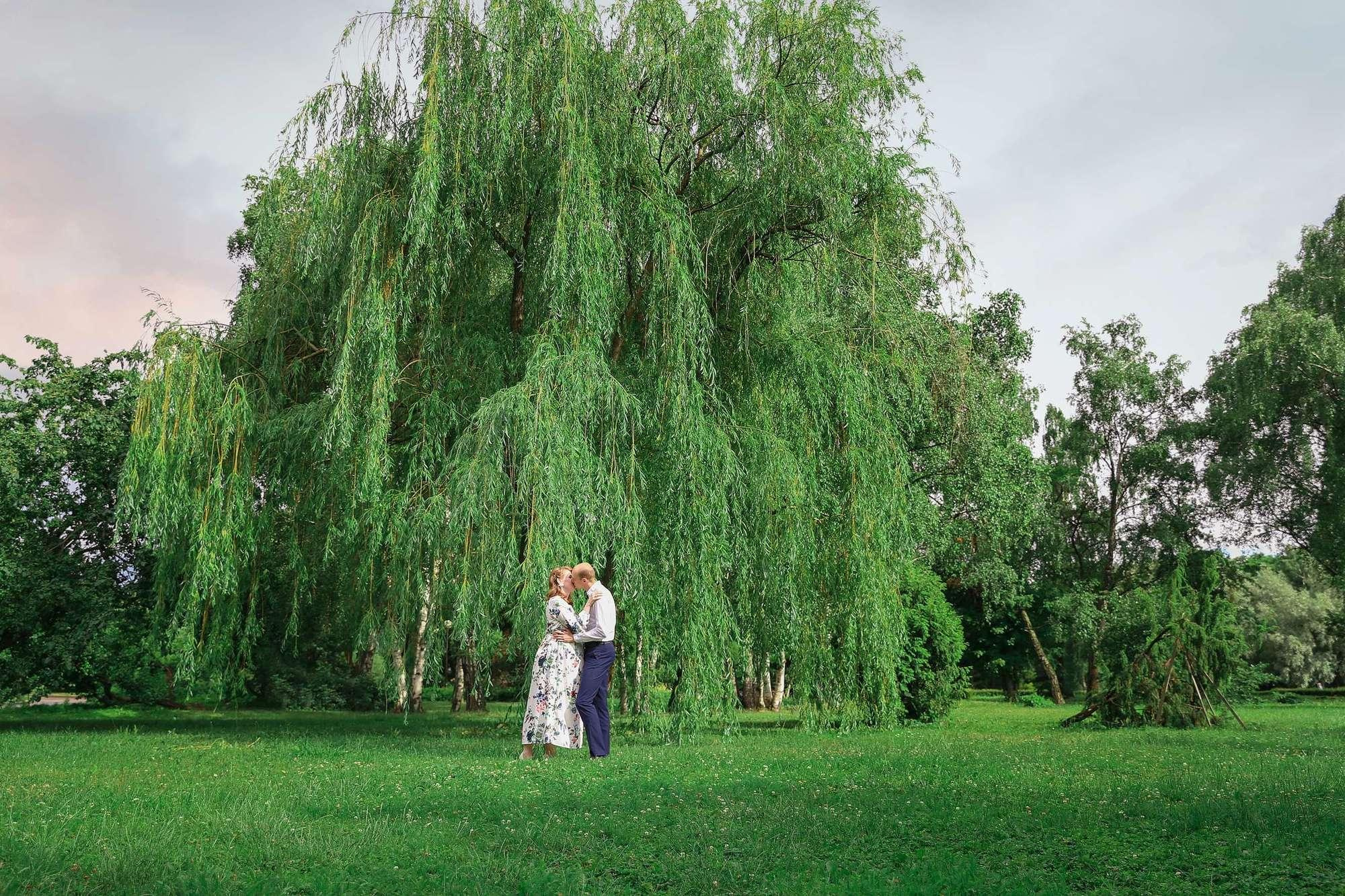 В ожидании чуда. Алина Малышева, свадебный и семейный фотограф Москва