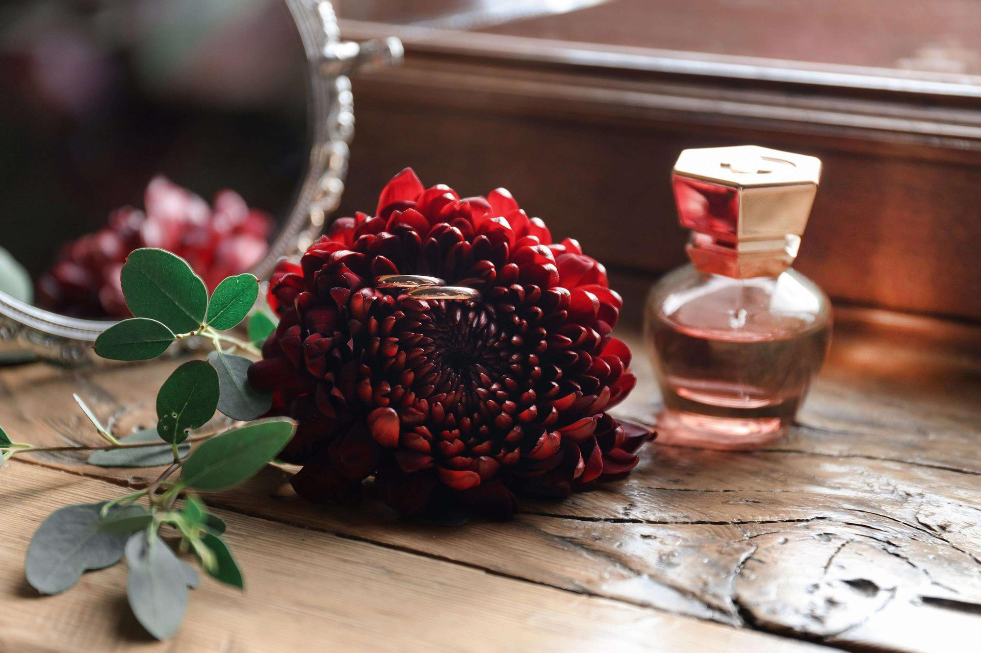 Dark and Light. Алина Малышева, свадебный и семейный фотограф Москва