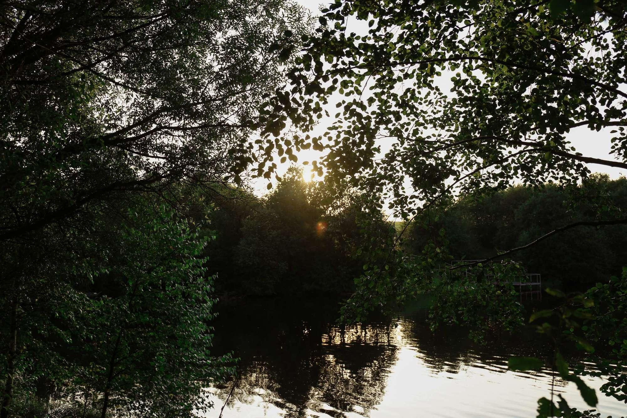 My crazy diamond. Алина Малышева, свадебный и семейный фотограф Москва