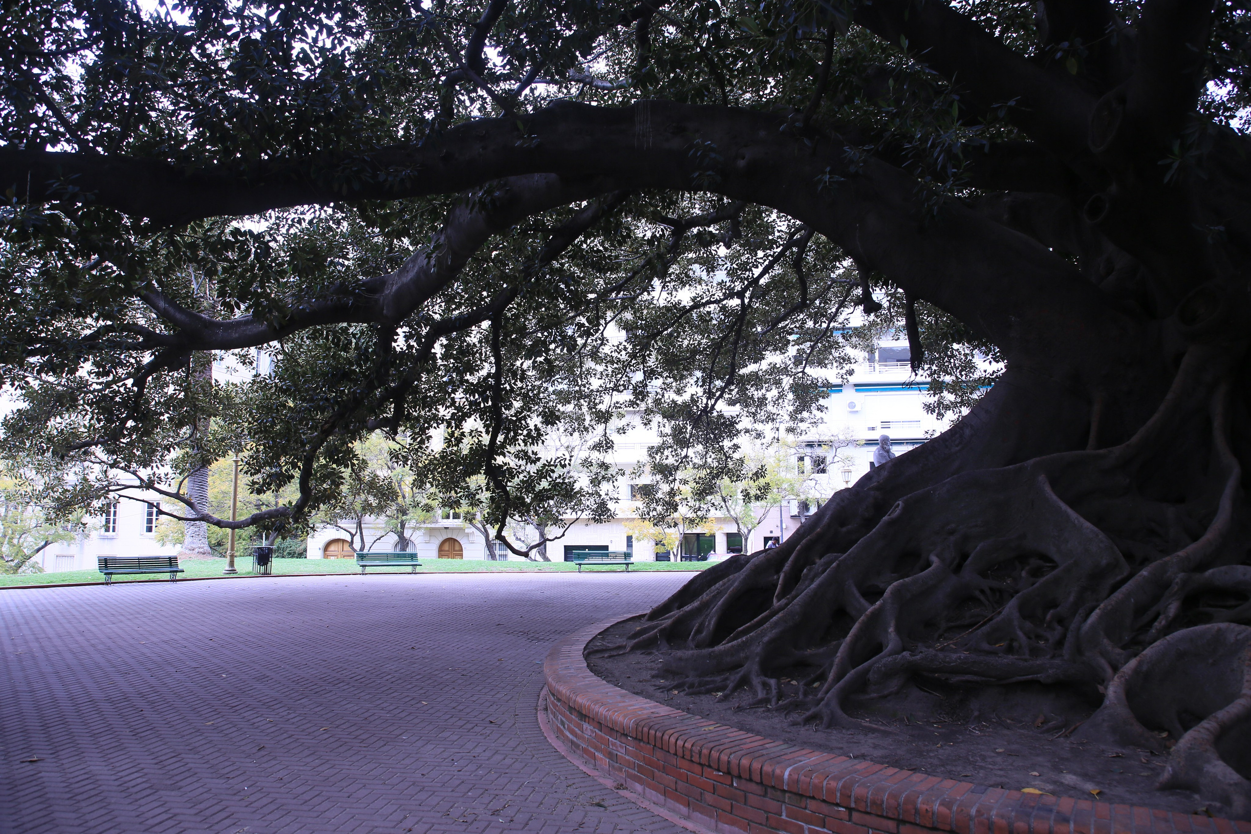 Buenos Aires, Argentina. Andrey Filippov Photographer