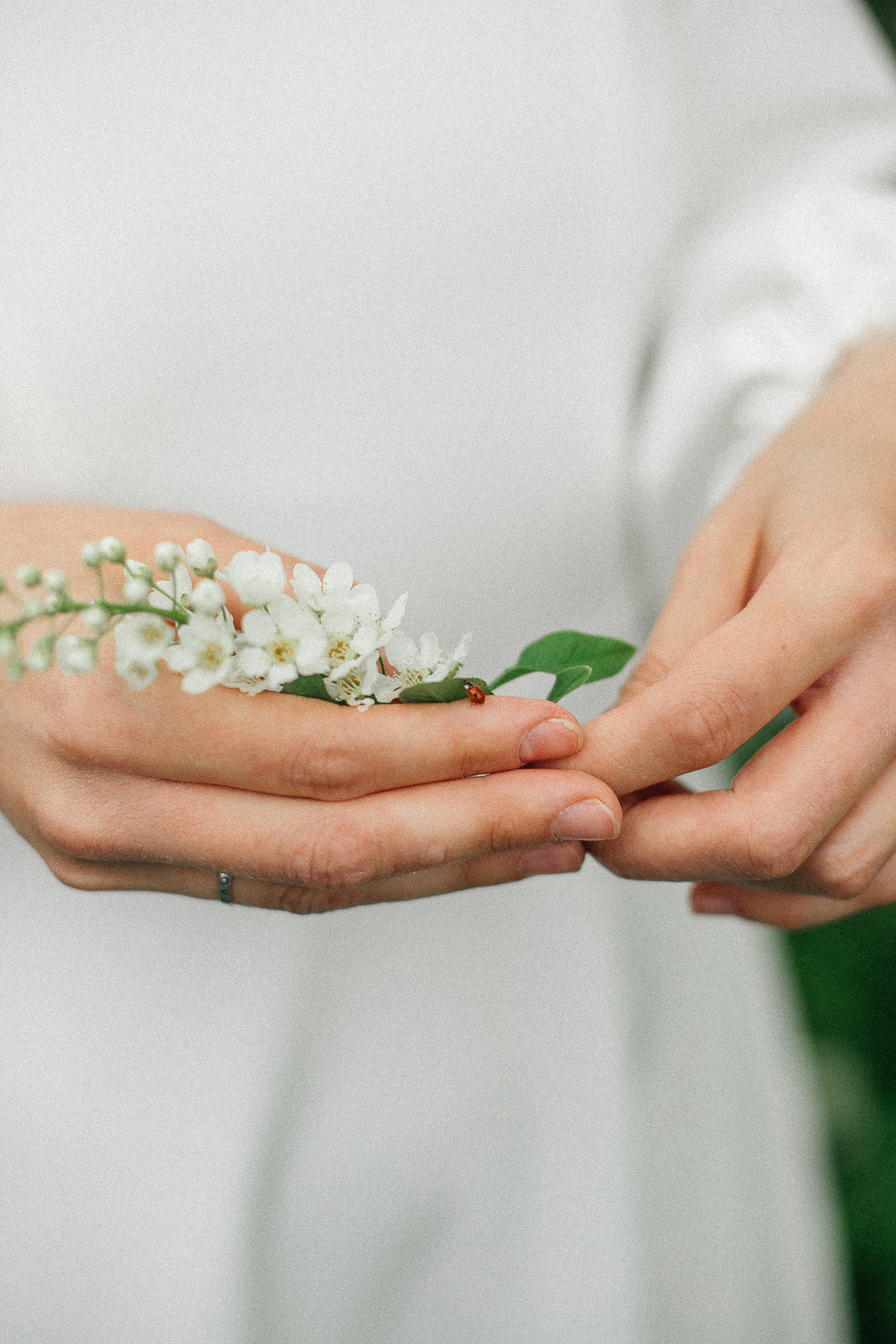 Мария и Иван. Семейный фотограф Тюмень Смирнова Юлия