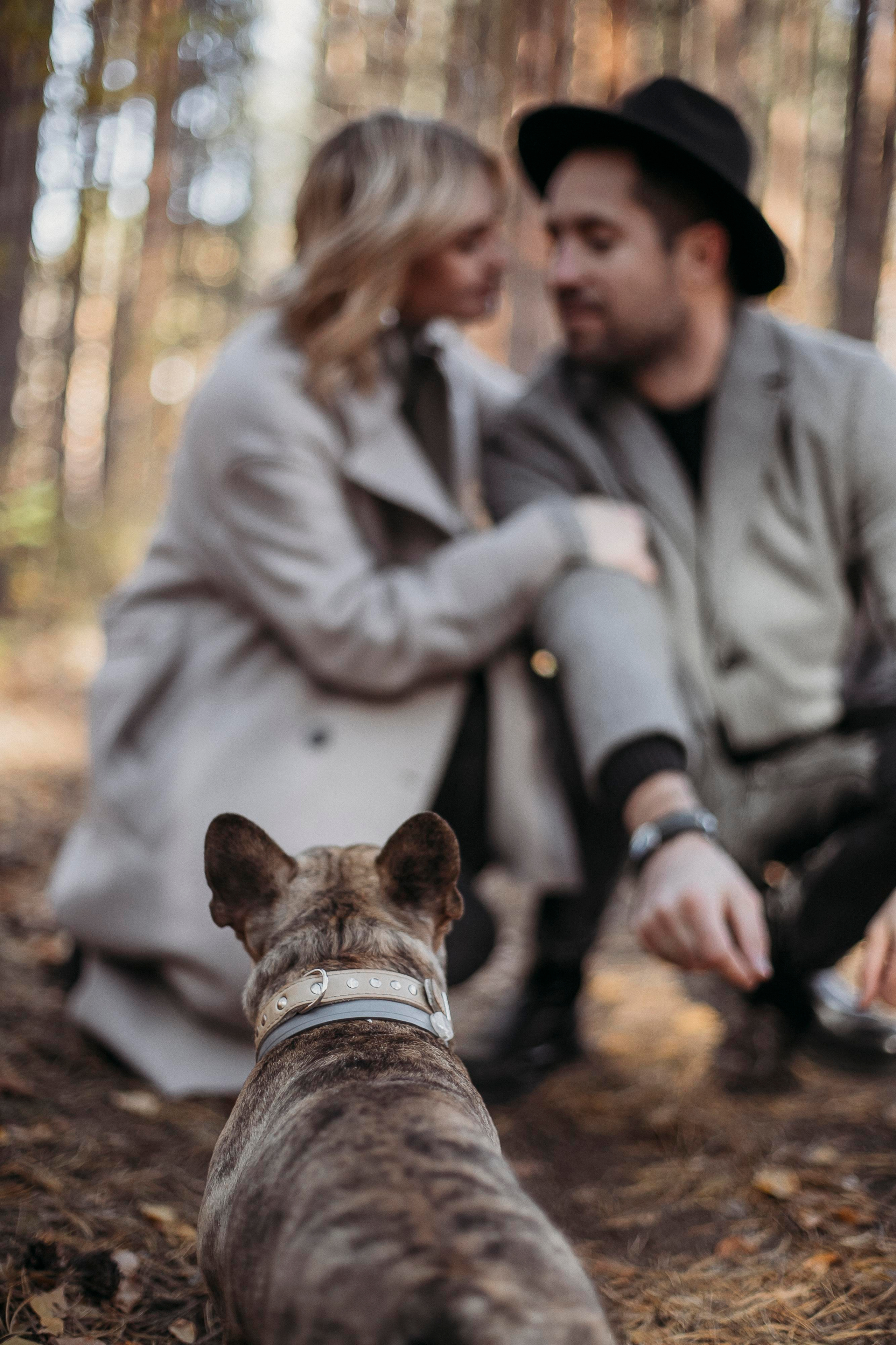 Цены. Семейный фотограф Тюмень Смирнова Юлия