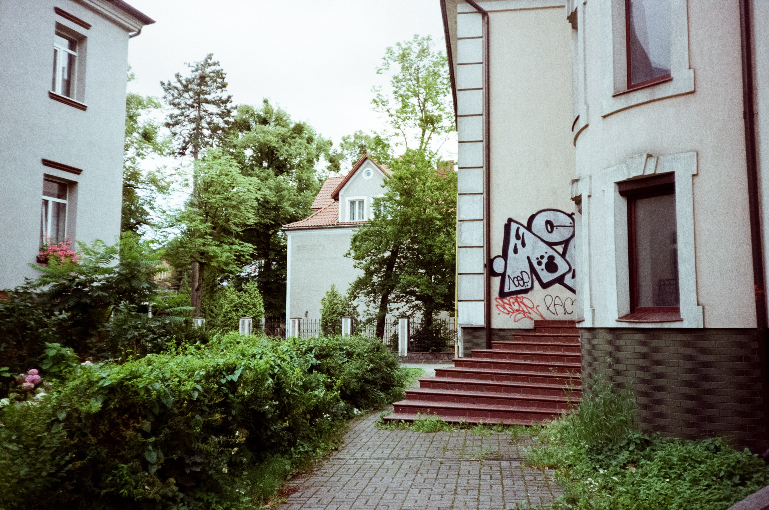 Калининградский стрит. От Amalienau Breakfast до кафе Толстой. Фотограф-документалист Мария Осокина