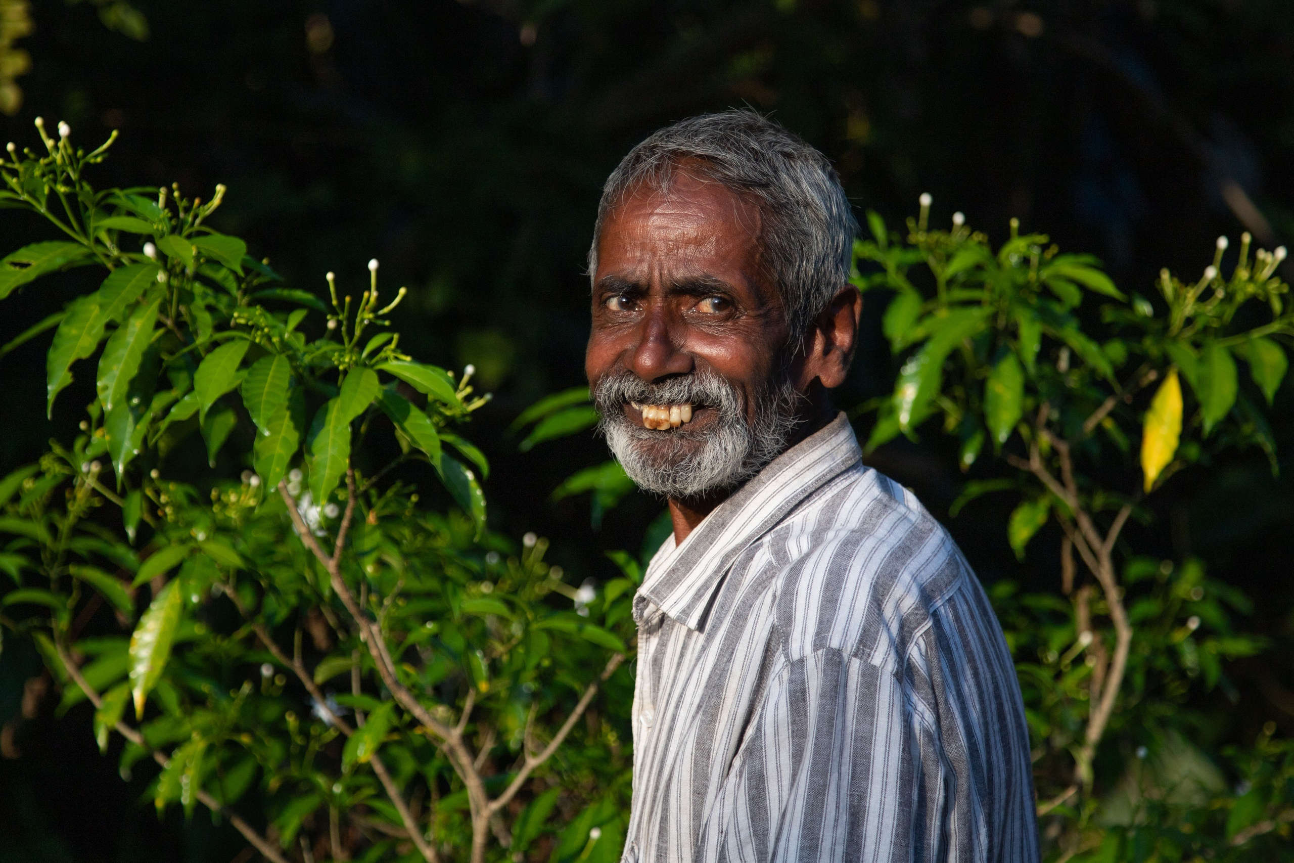 Шри-Ланка. Фотограф Юля Постнова