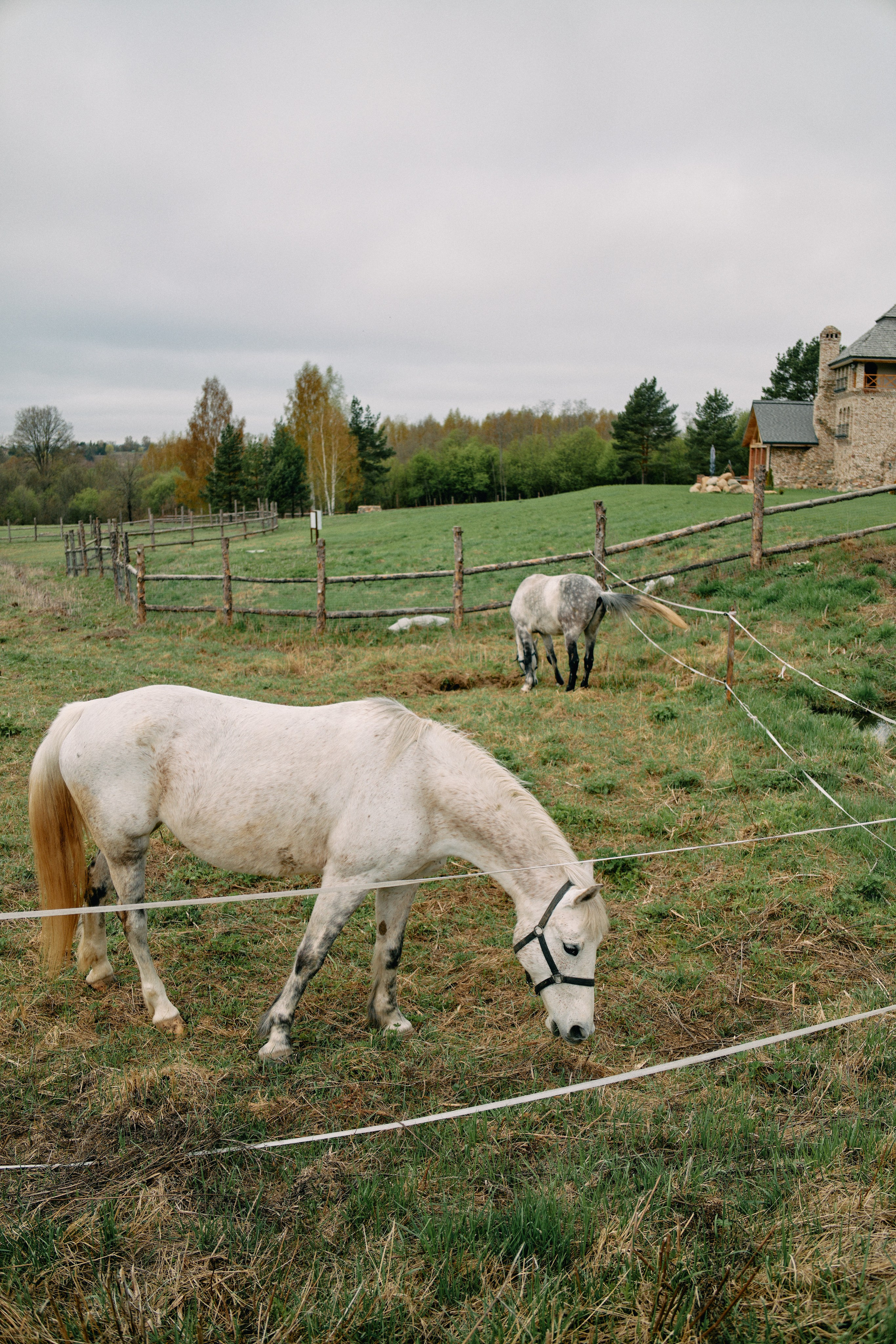 Бутик-отель Поле летом. Профессиональный Фотограф во Владимире, в Москве и в Суздале — Полина Романычева