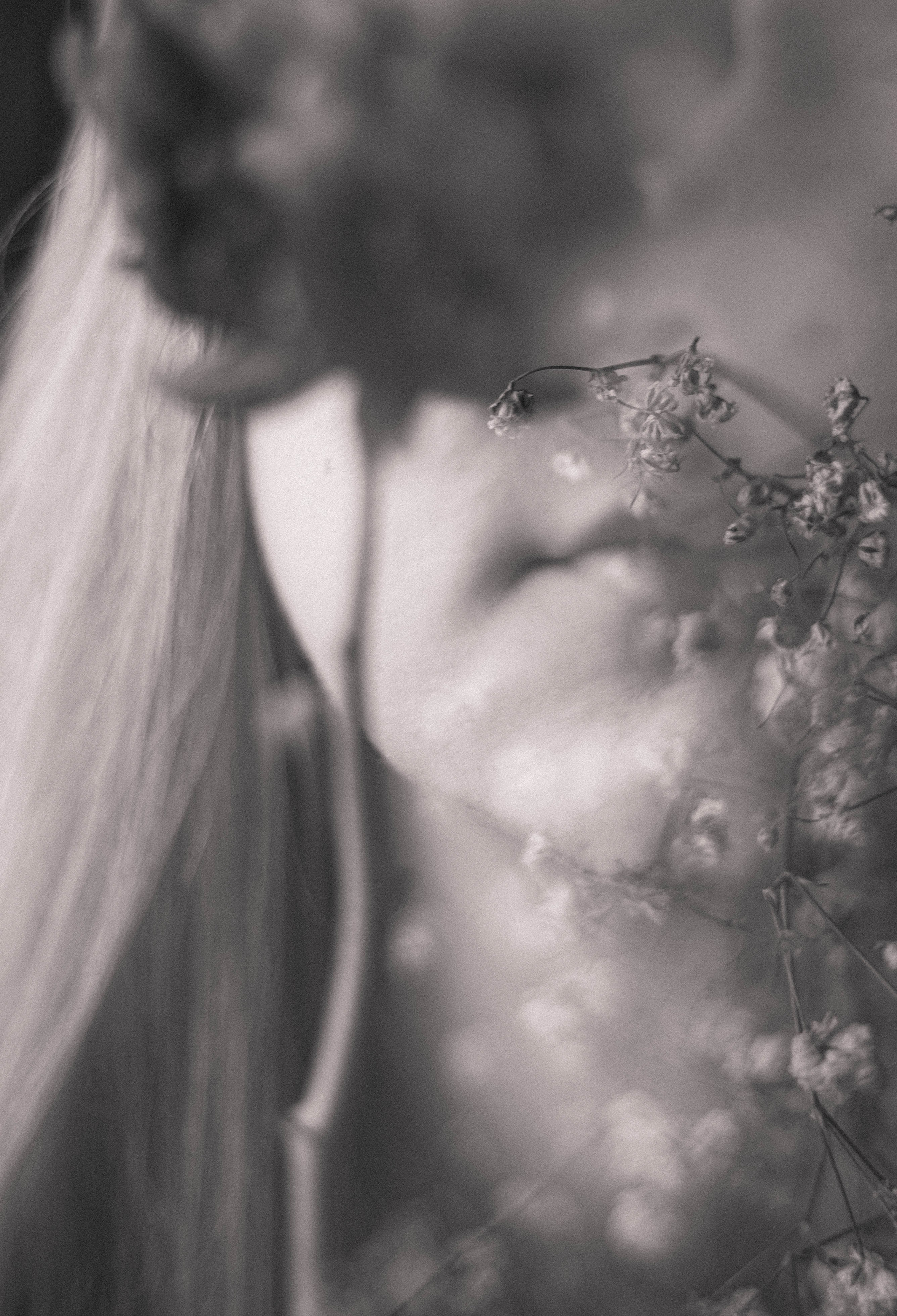 Цветочное настроение. Foto-creator Alisa Zobova