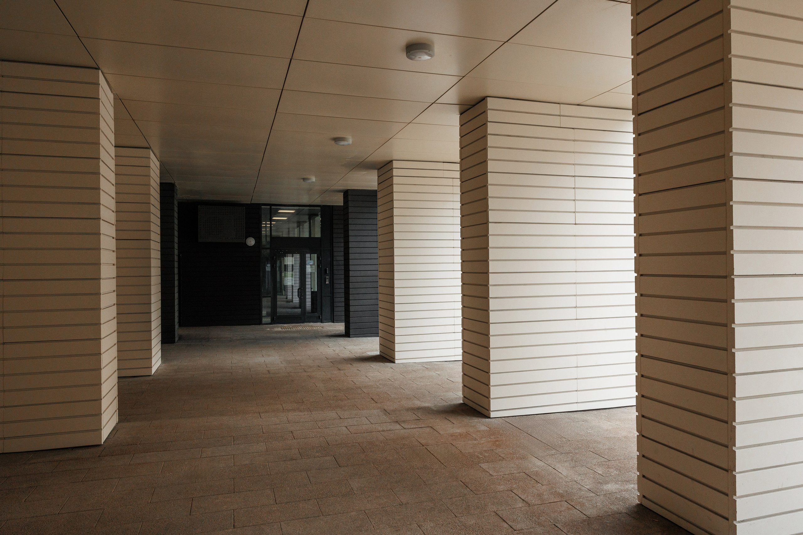 РЕНОВАЦИЯ — 9-Й СОКОЛИНОЙ. АЛТ Портфолио