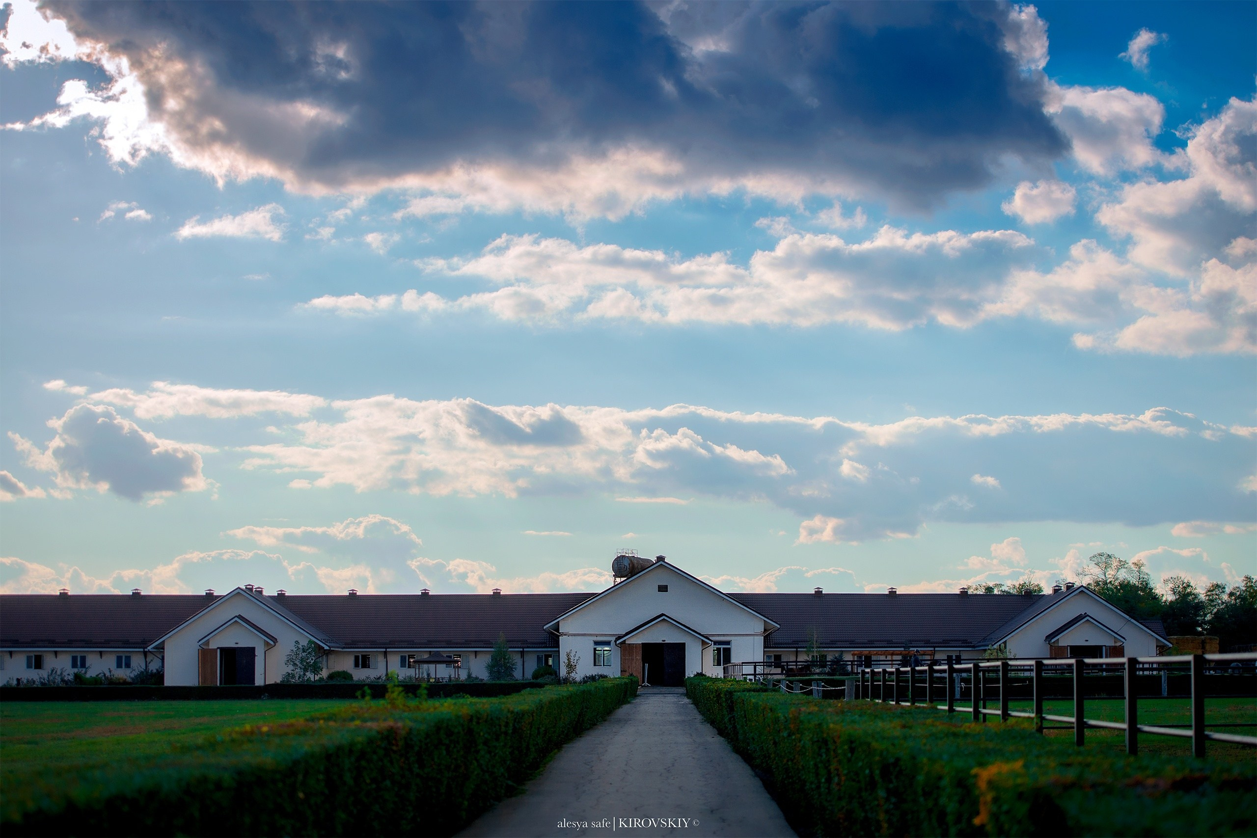 Кировский конный завод. Конный фотограф Alesya Safe