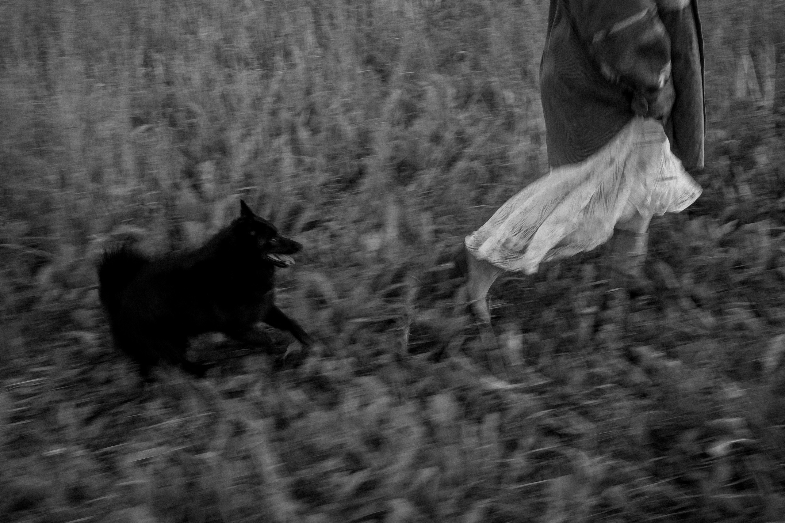 Анна и Максимус. Фотограф — Анималист | Санкт-Петербург