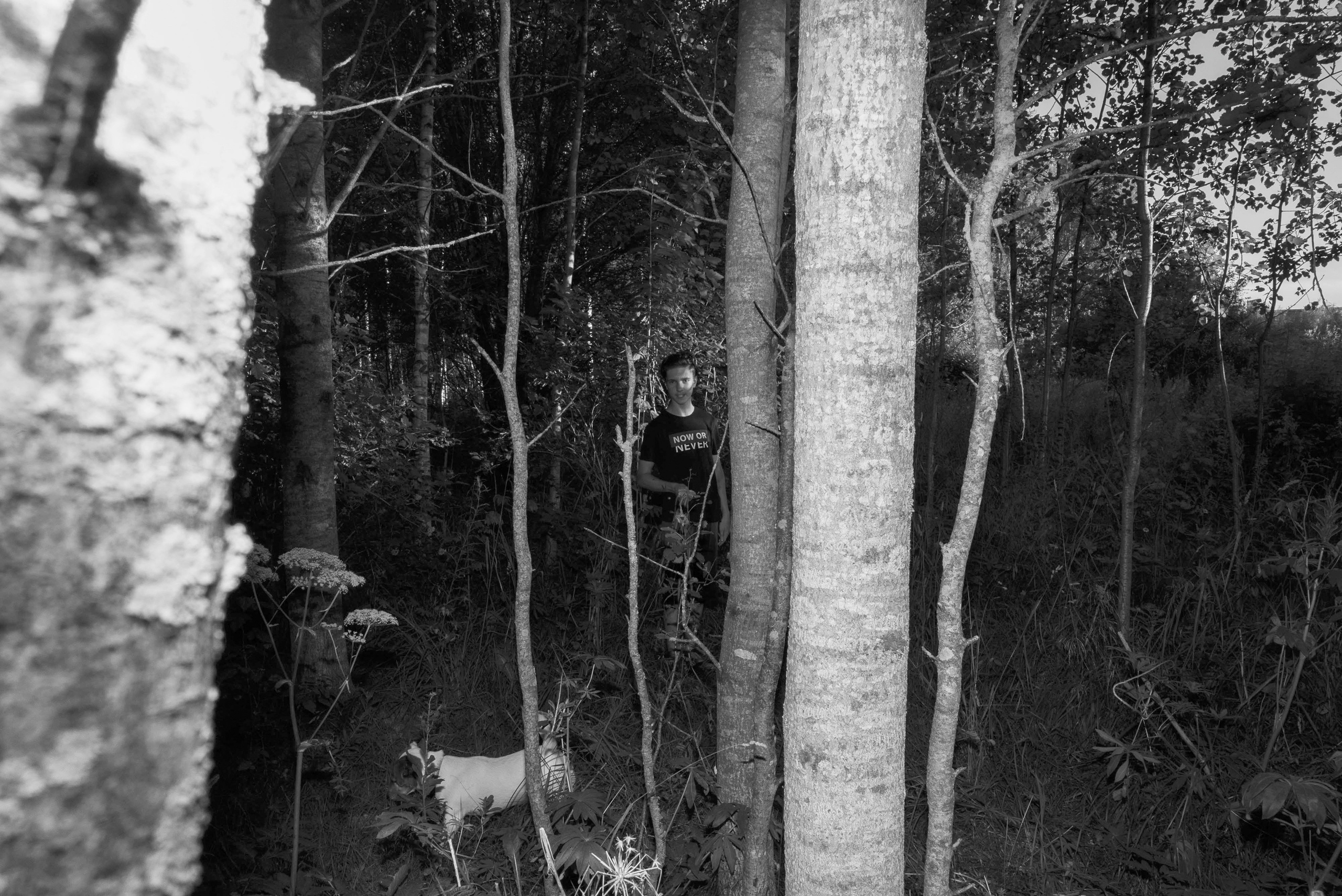 Мир тропы. Tatiana Mishchenko