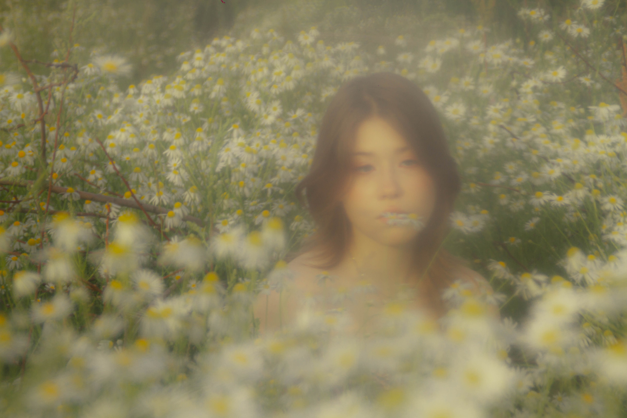 Ностальгия