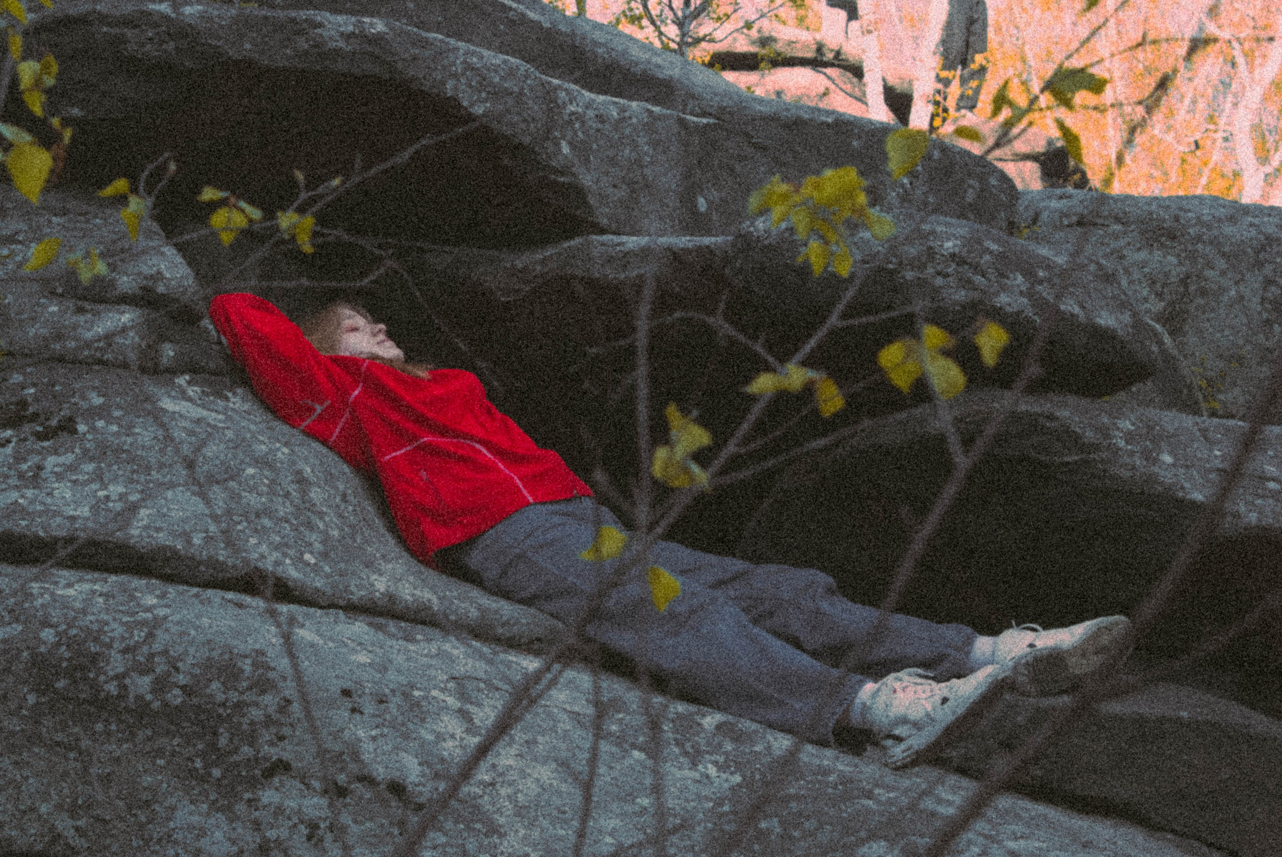 «Без названия»