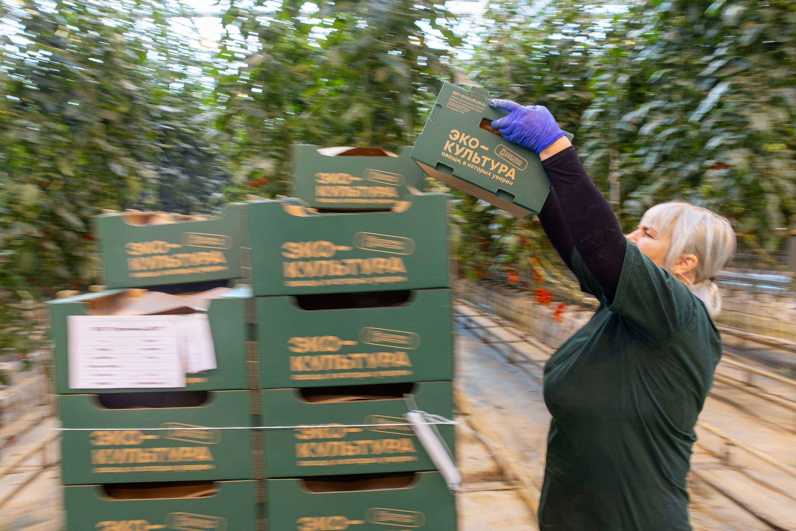 Производство. Фотограф Николай Петрушкин | Ставрополь, Москва