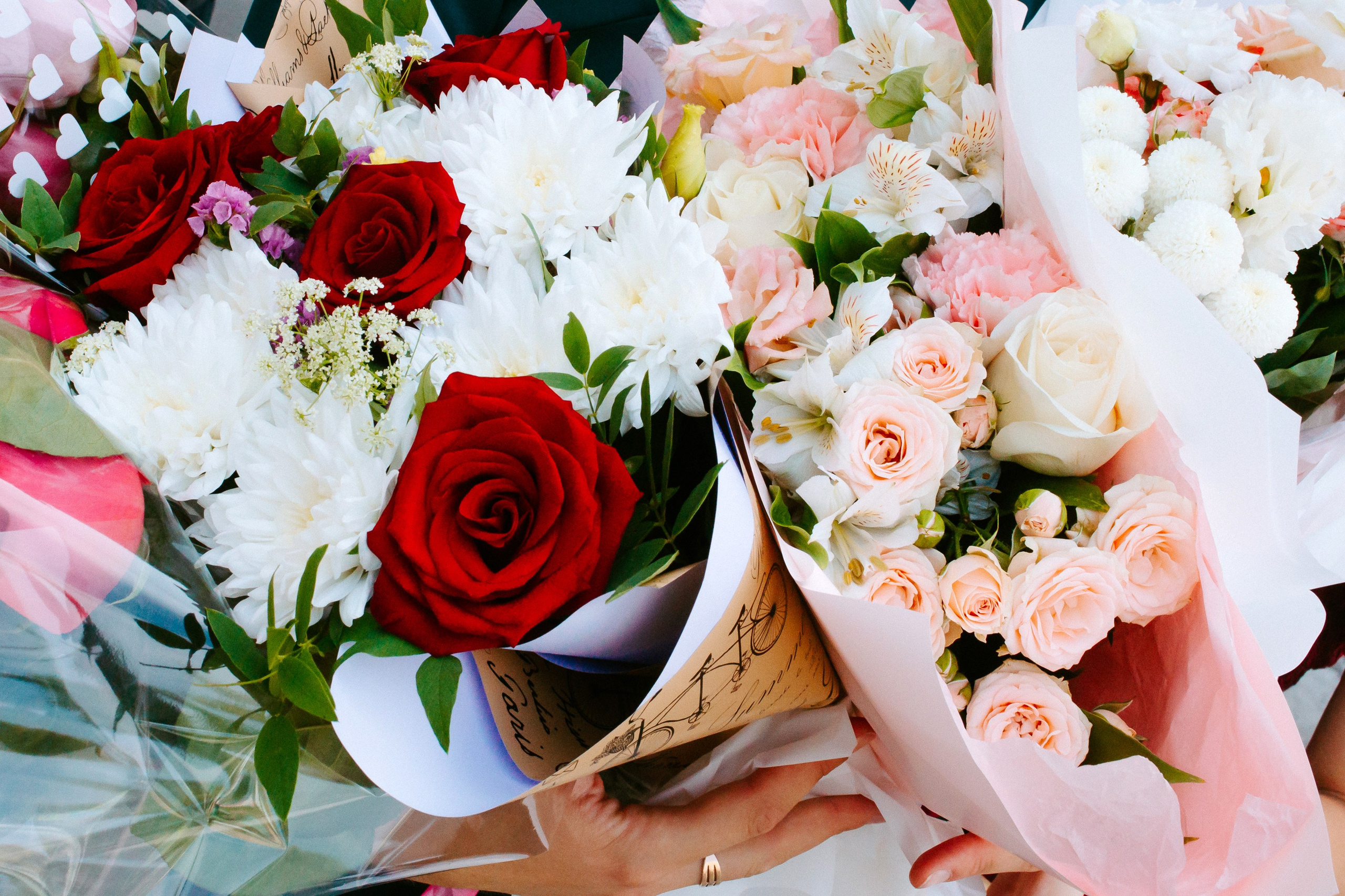 Загс и прогулка. Елена и Виктор. Фотограф в Челябинске Ополихина Анна