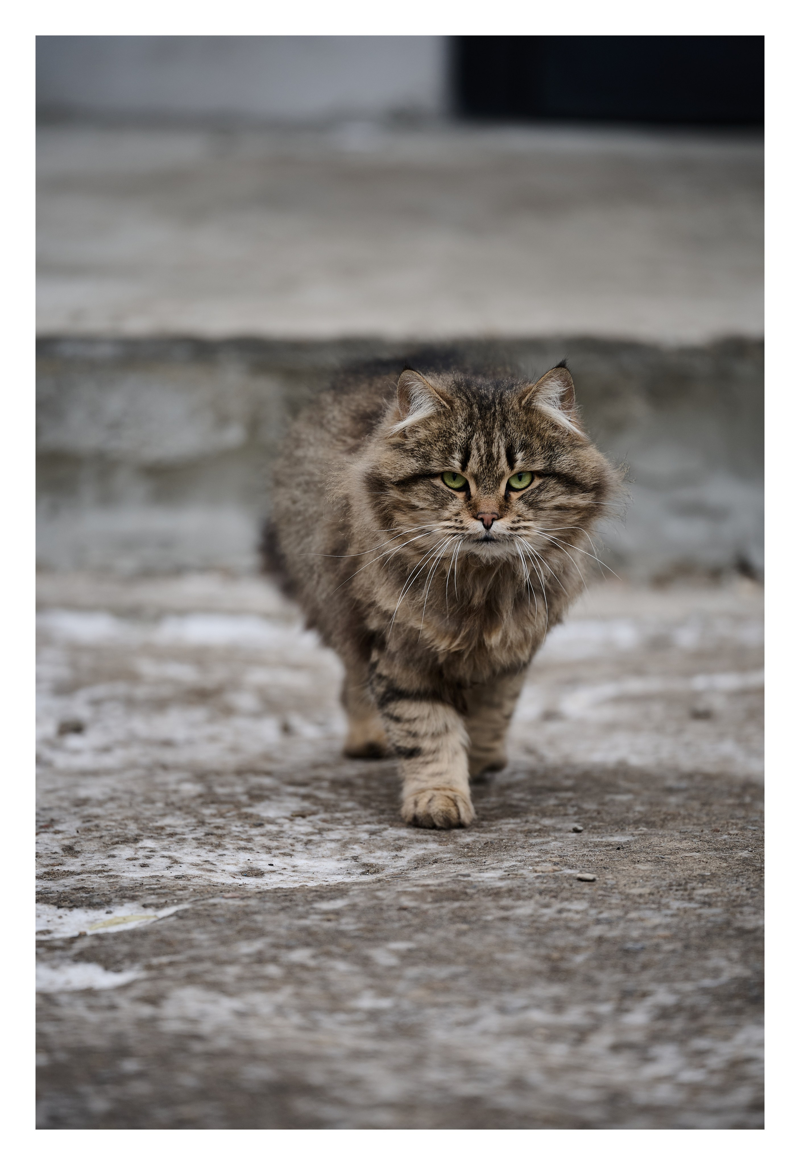 Фотопринты А3. Фотопроект «Территории»