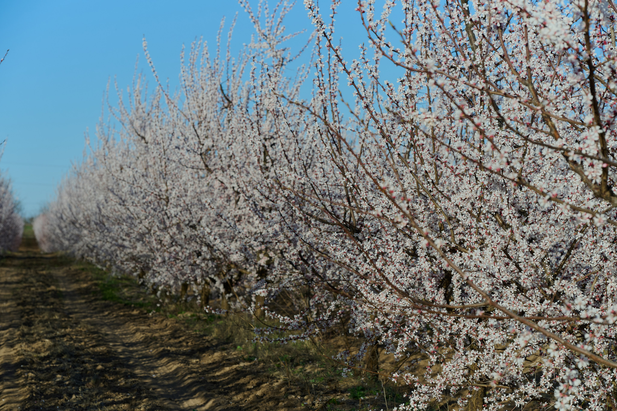 Мелитополь. Фотопроект «Территории»