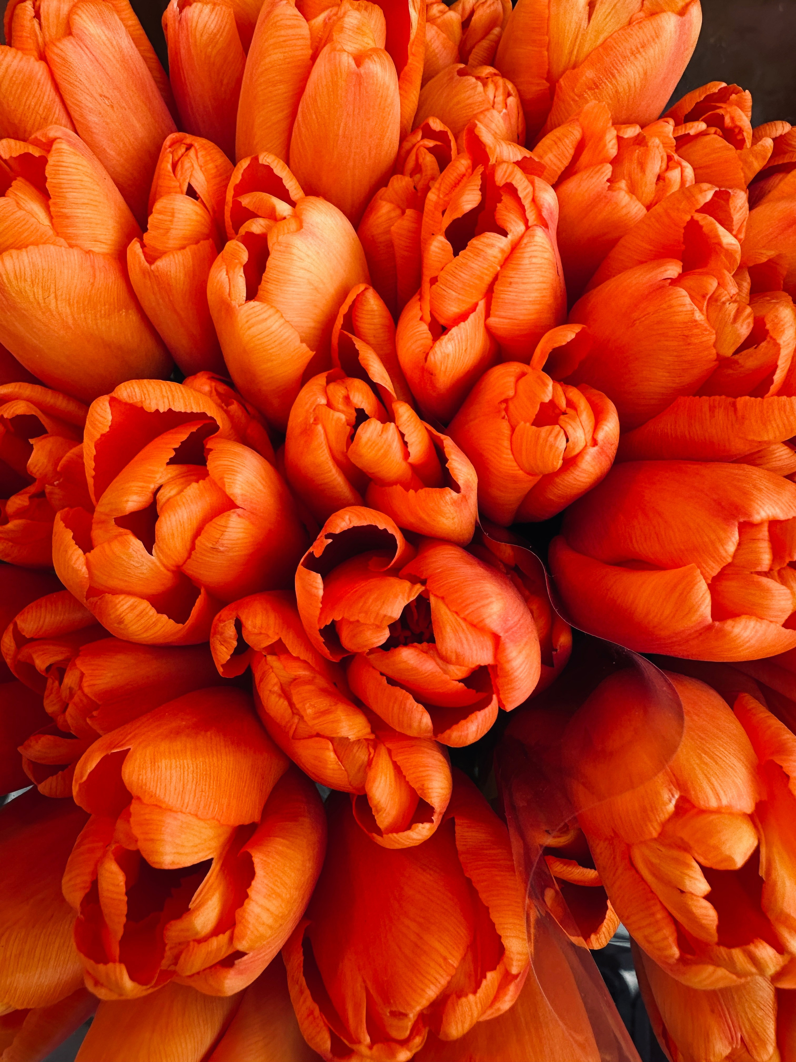 Макро любовь. Смотри, красота!