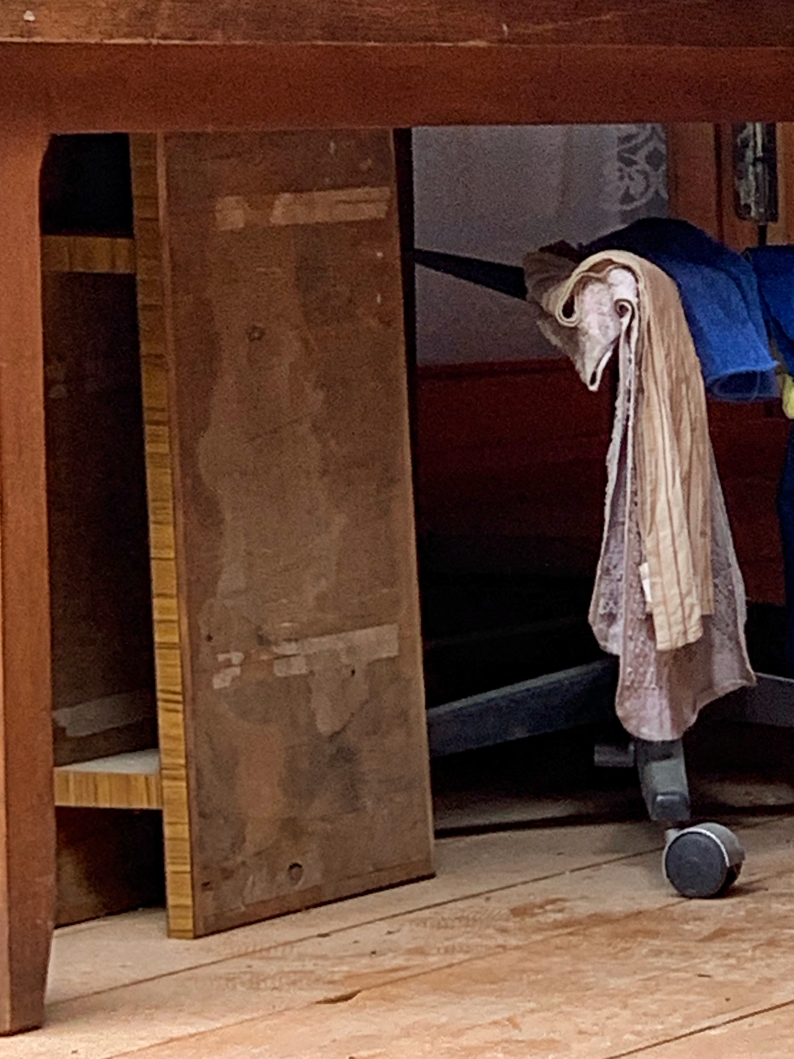 2019 год. Тащилин Сергей. Фотографии. Жизнь. Хобби