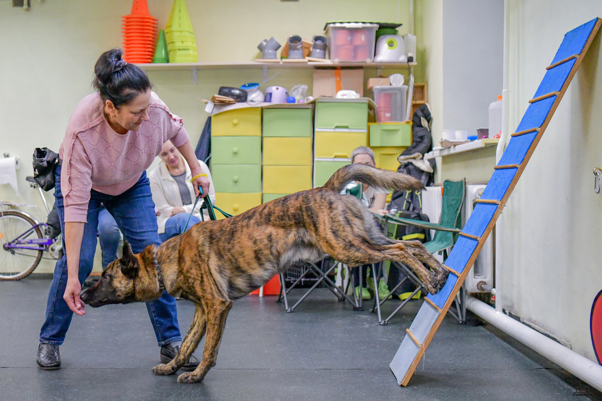 Кинологический клуб «Бодрый хвост». Свой взгляд через объектив