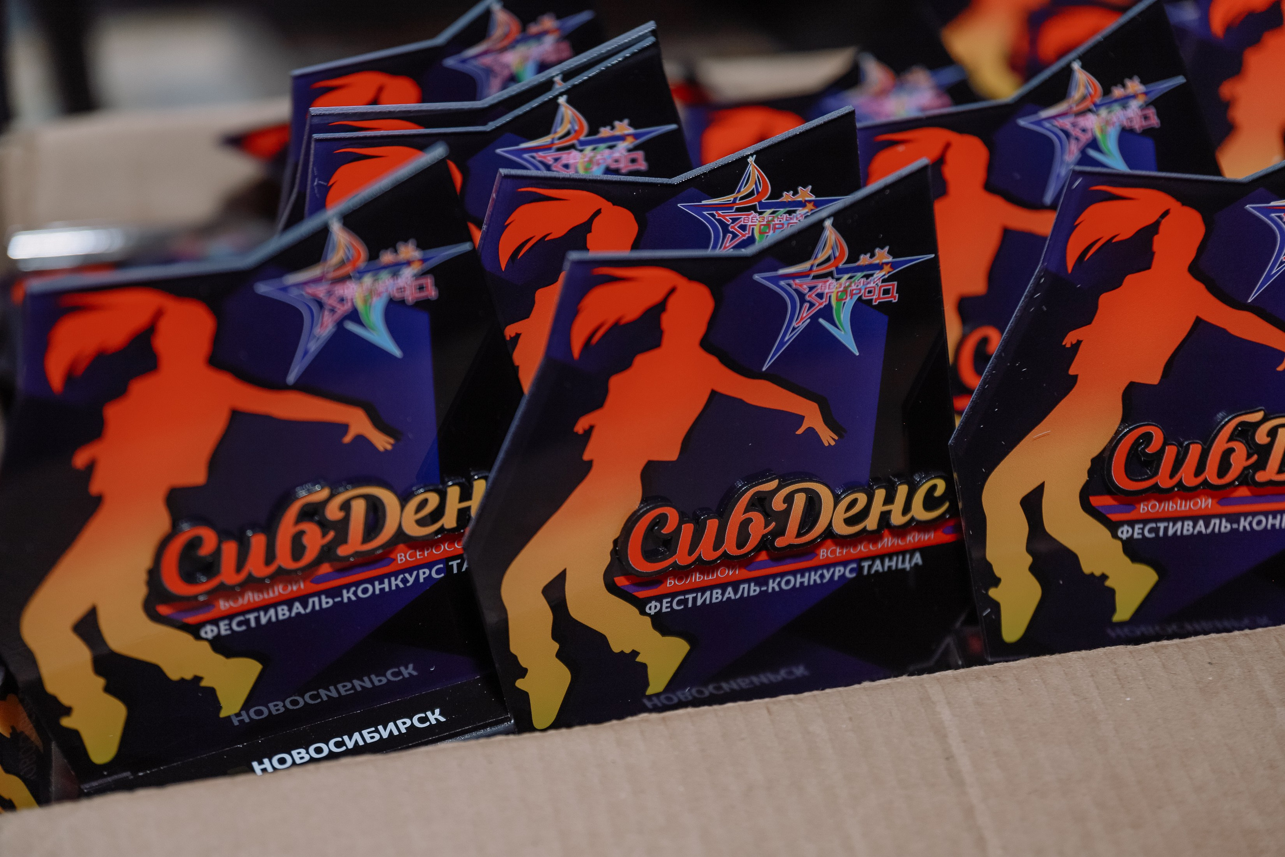 Сиб Денс Гала концерт и награждение. Фотограф Юлия Мальцева