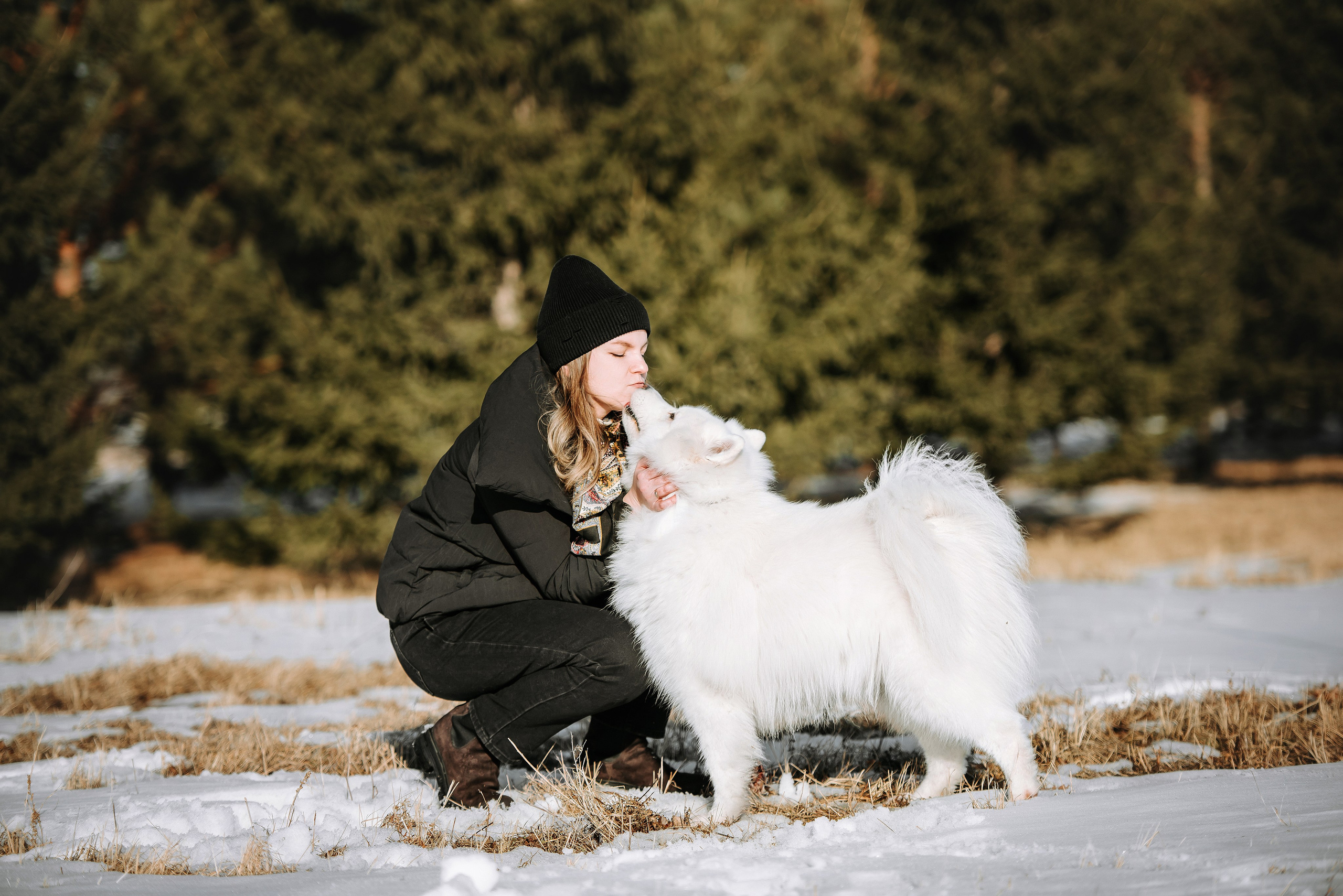 Фотопрогулка с питомцами. Фотограф Диана Оленина Красноярск / Братск