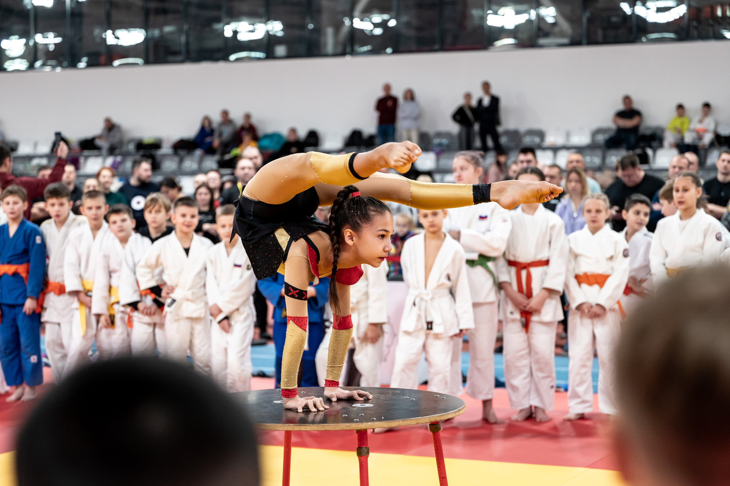 Новогодний турнир по дзюдо. Январь 2024. Спортивный фотограф в Туле и Тульской области. Файсханова Фото Спорт