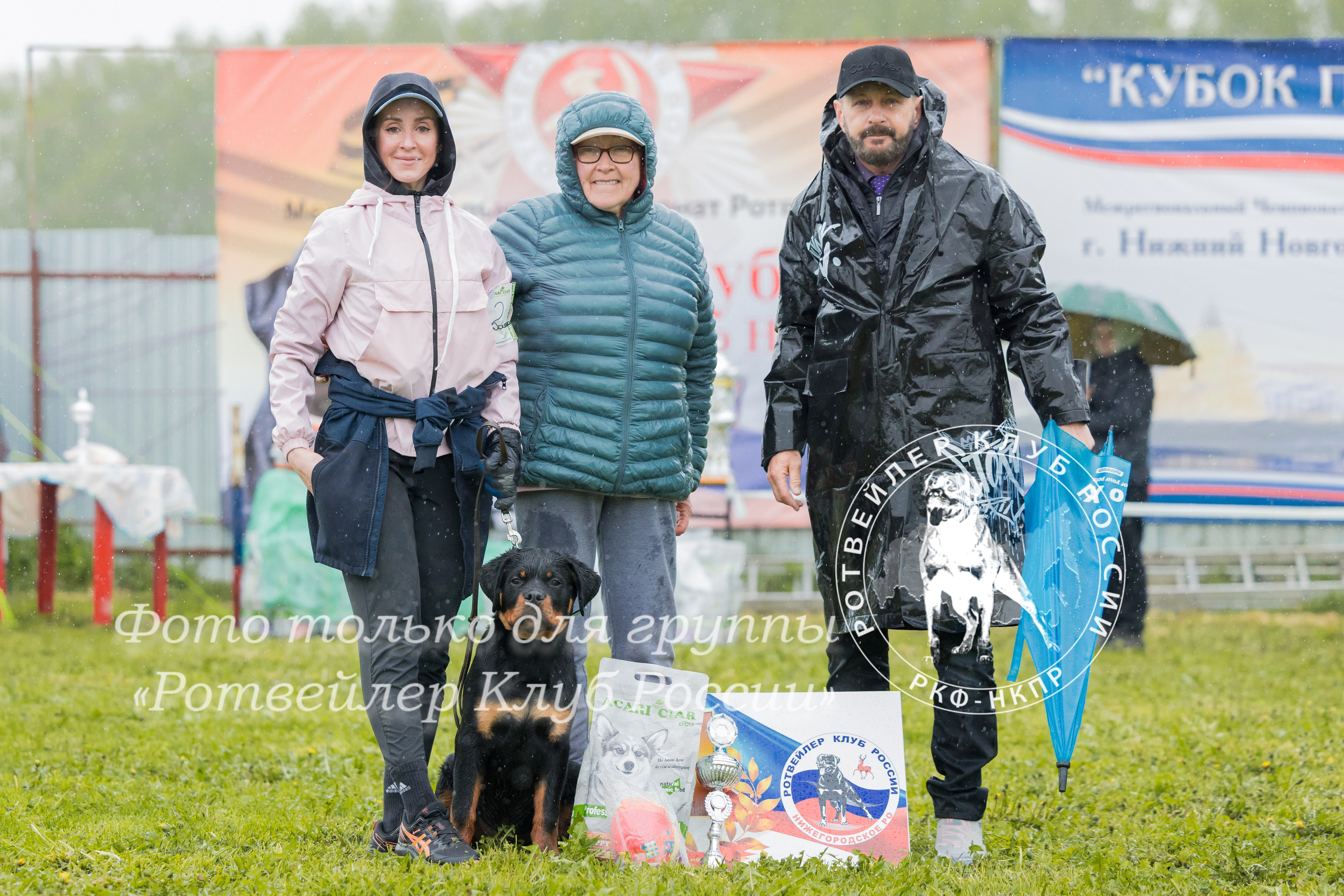 Нижний Новгород 2хмоно ротвейлеров 10-11.05.2025. Фотограф-анималист Юлия Германика