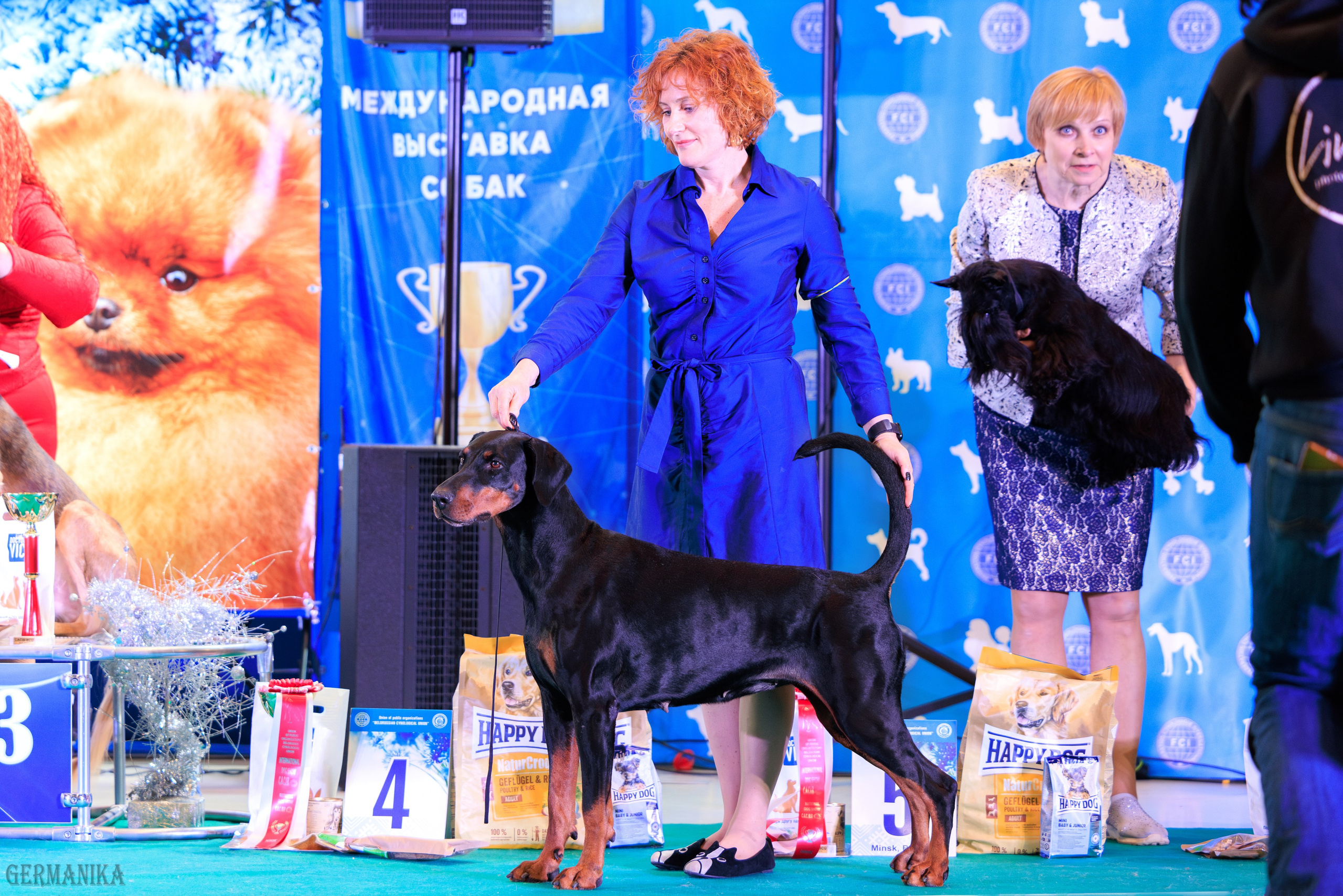 Минск 24-25.02.2024. Фотограф-анималист Юлия Германика