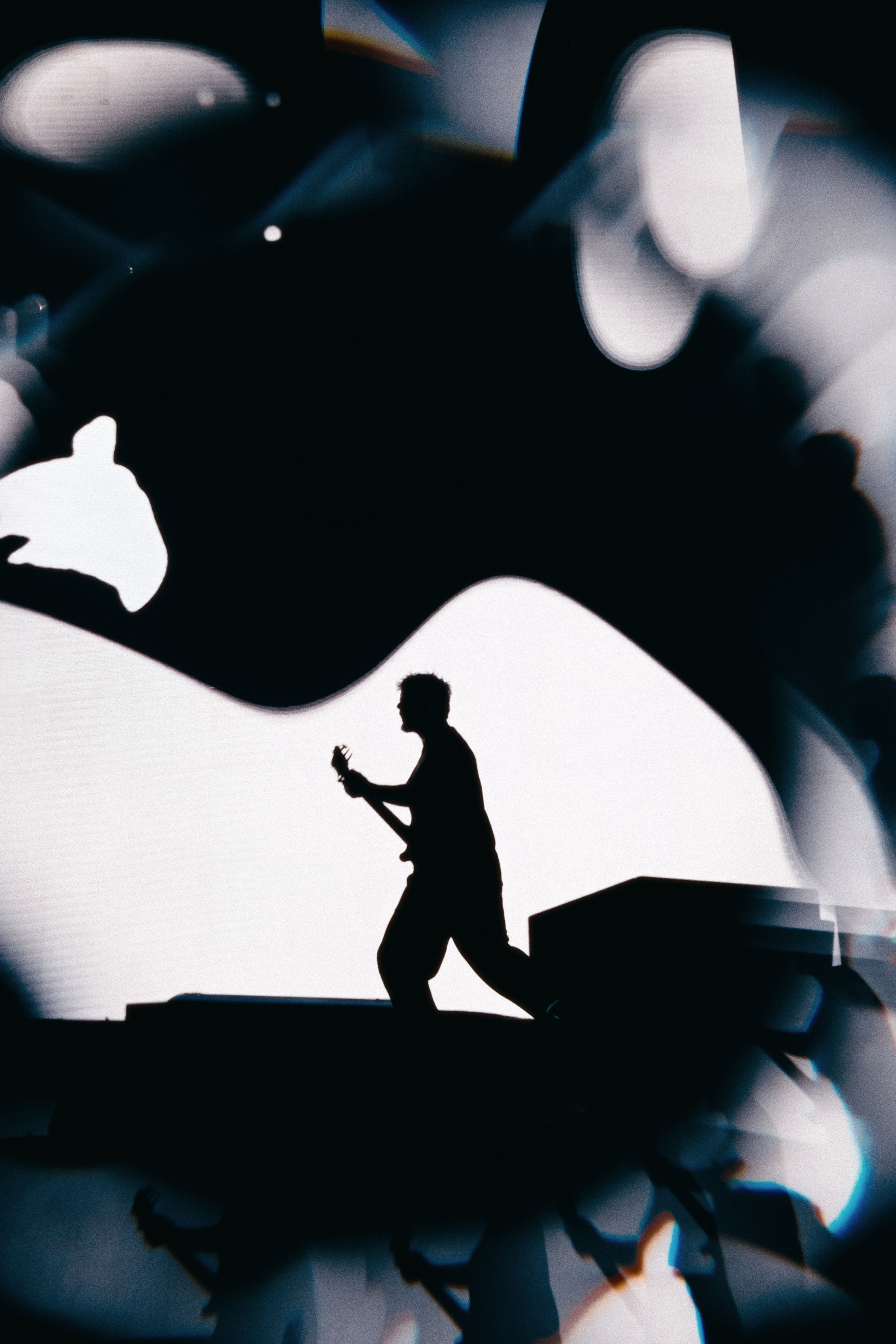 КОНЦЕРТЫ. RVANCEVA