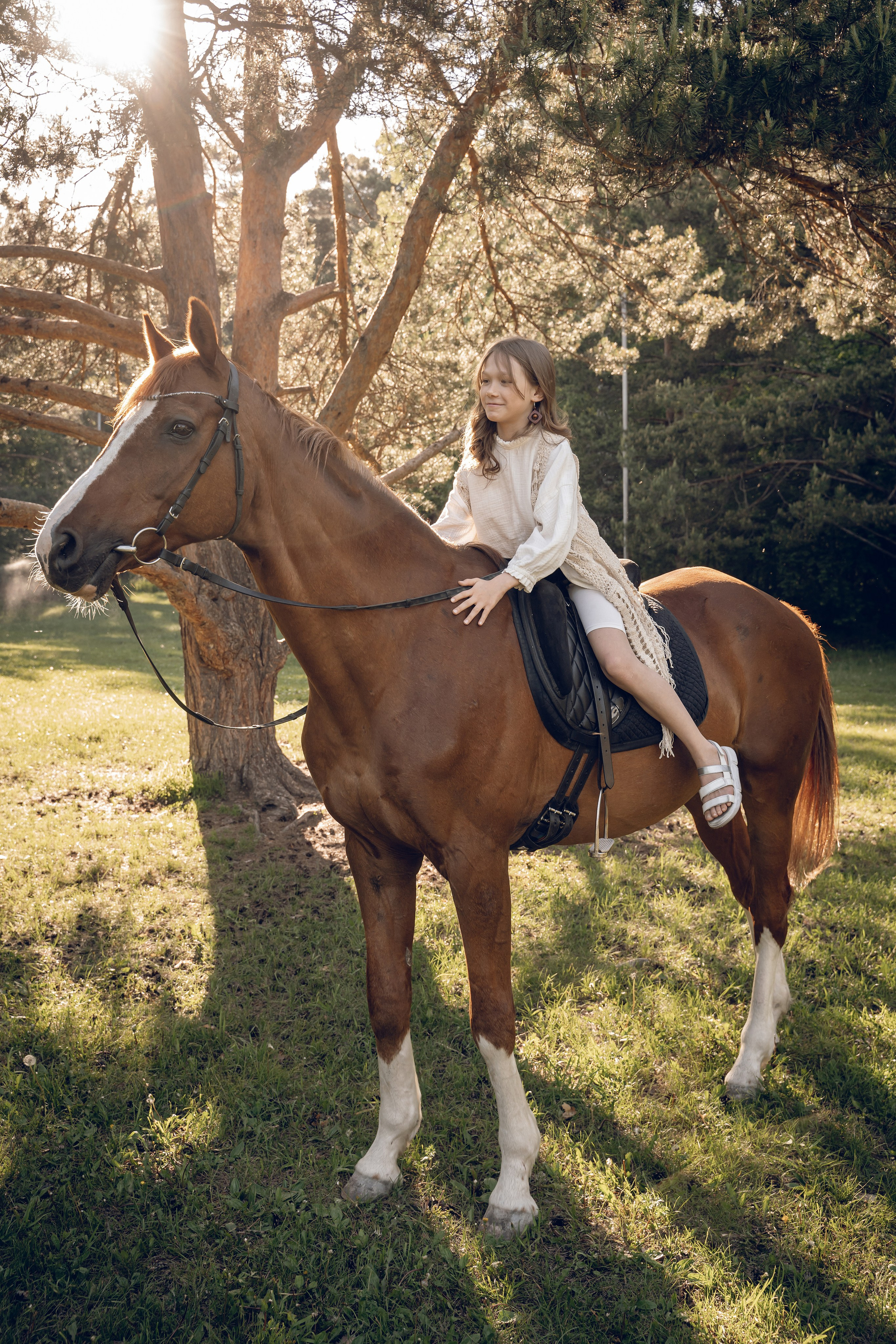 Семейная история с лошадьми. Главная