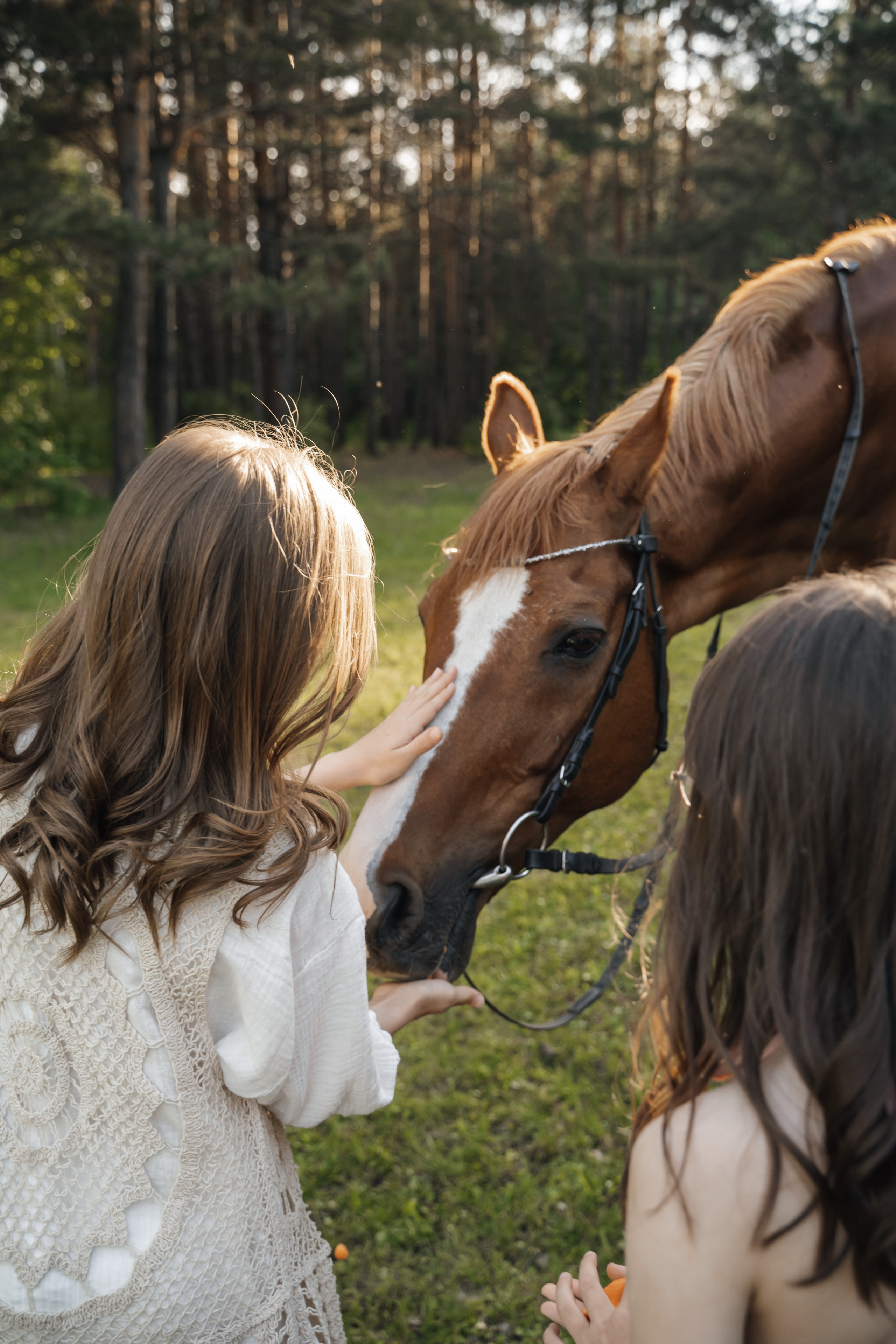 Семейная история с лошадьми. Главная