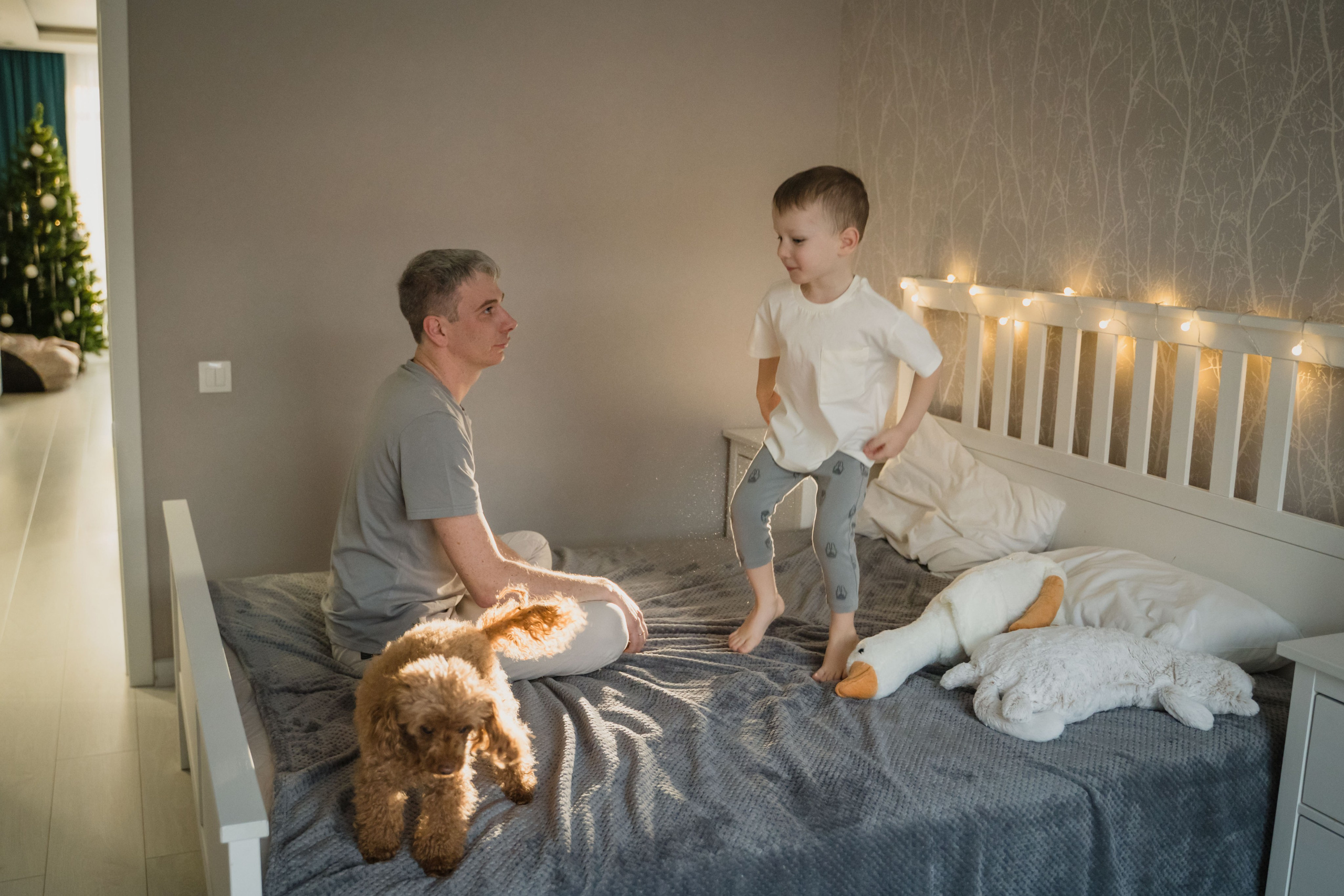 Предновогодний вечер. Главная