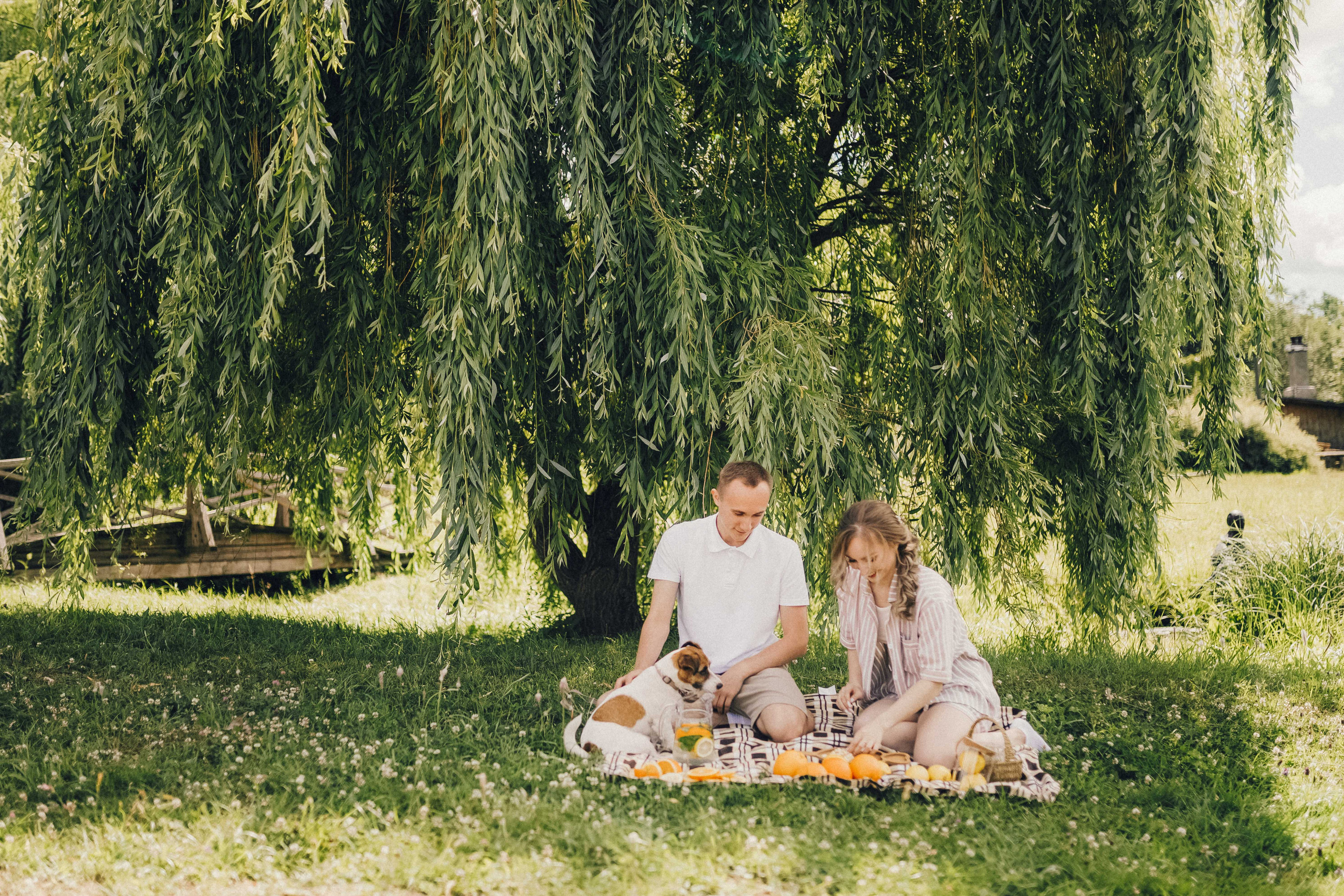 Екатерина и Иван. Фотограф Светлана Голицына