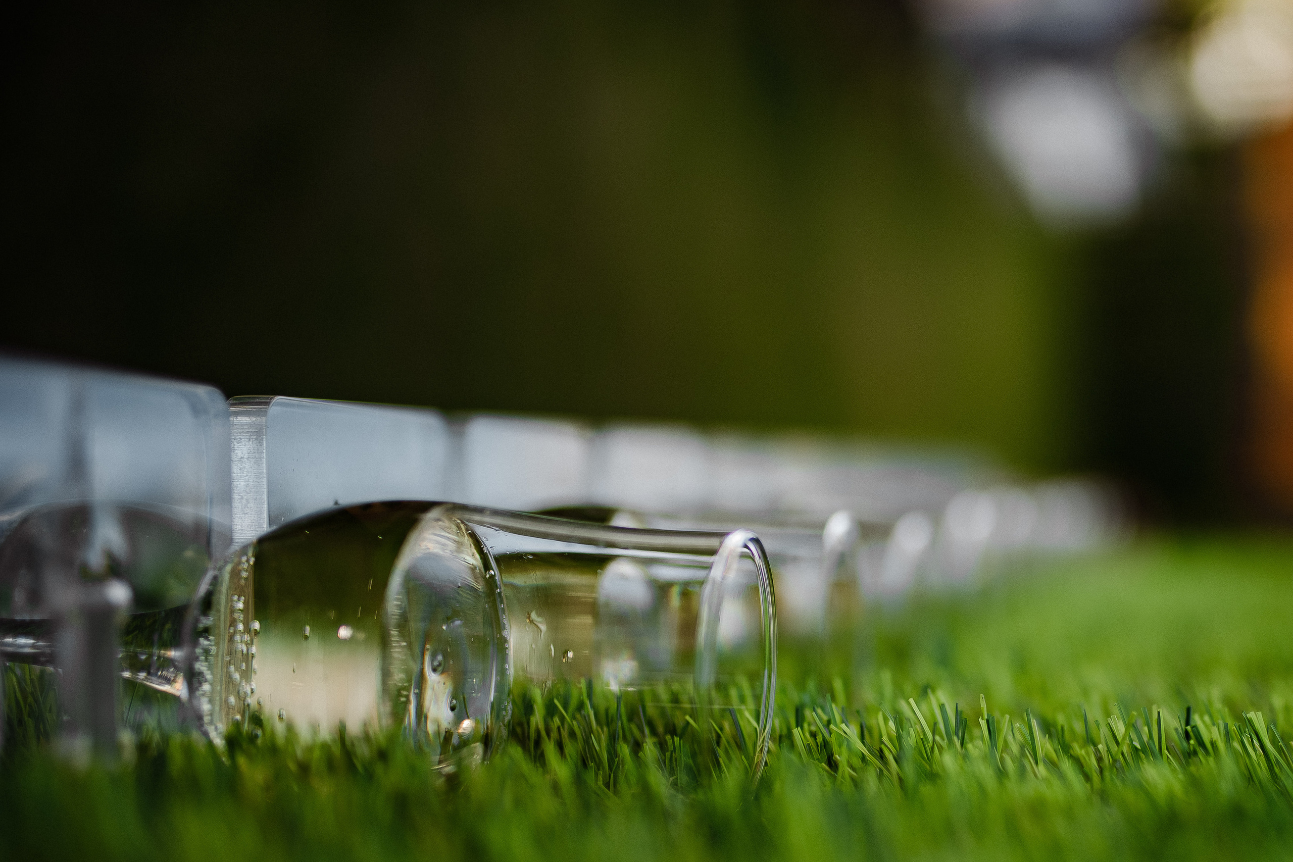 Мария и Павел. Фотограф Светлана Голицына