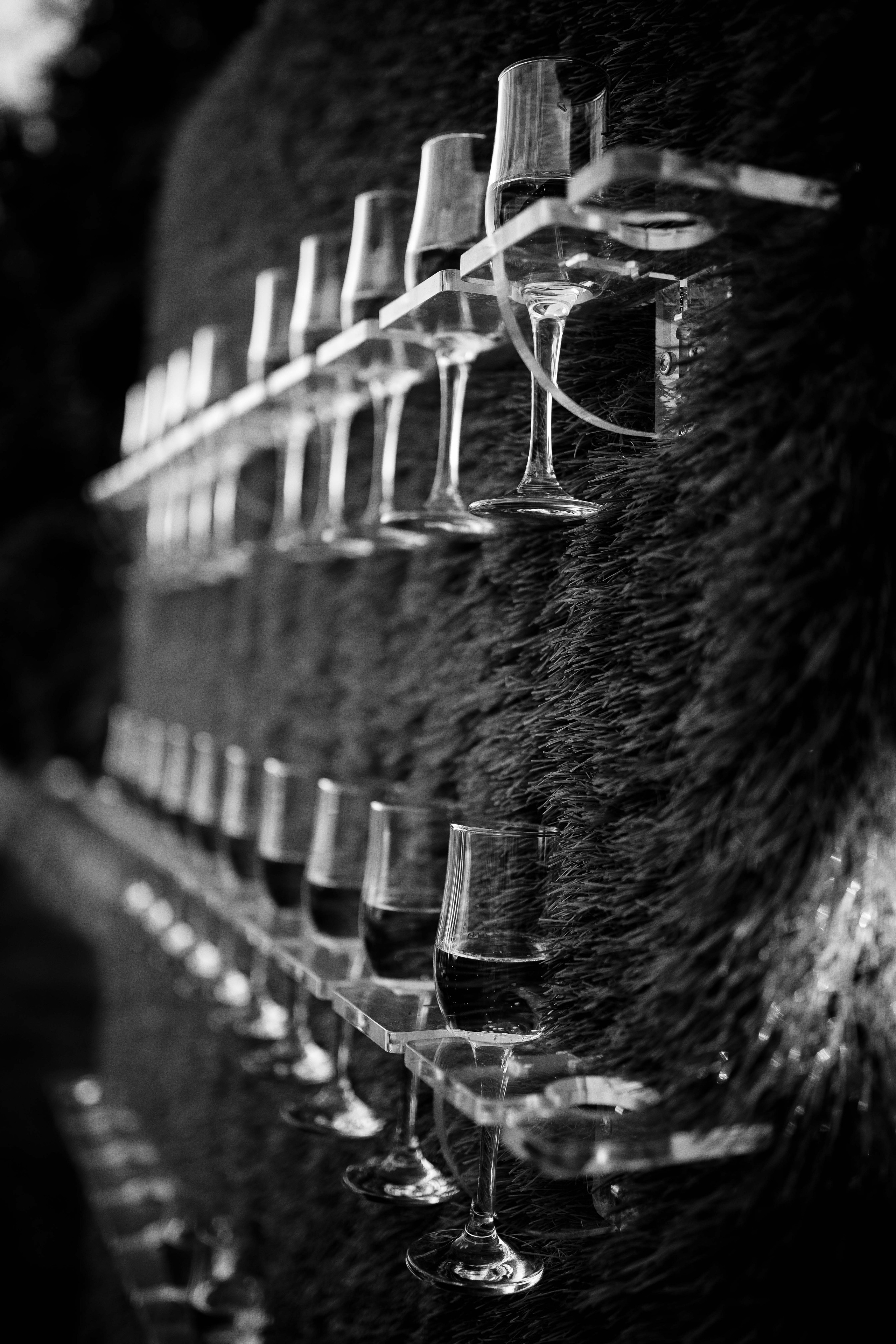 Мария и Павел. Фотограф Светлана Голицына