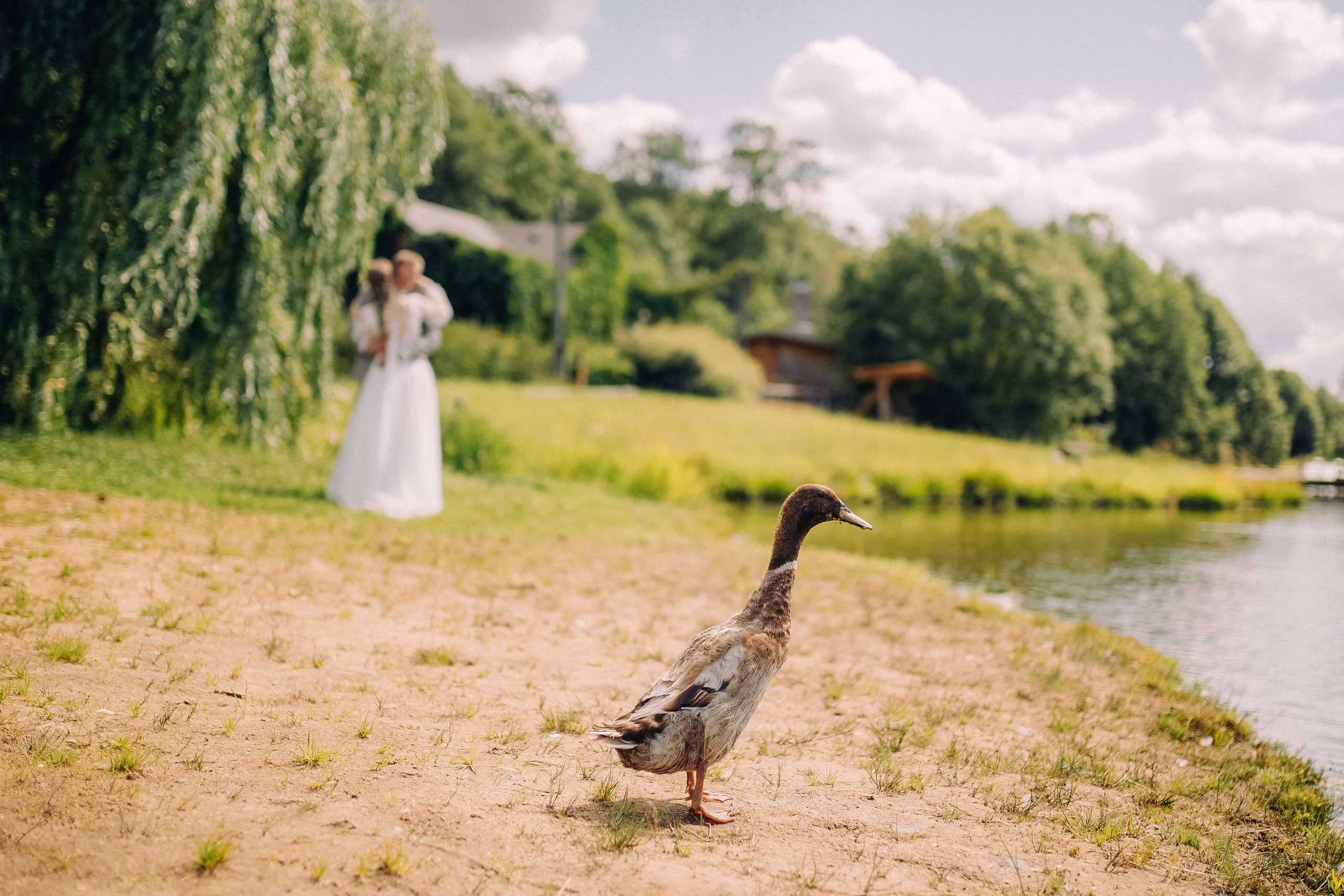 Екатерина и Иван. Фотограф Светлана Голицына