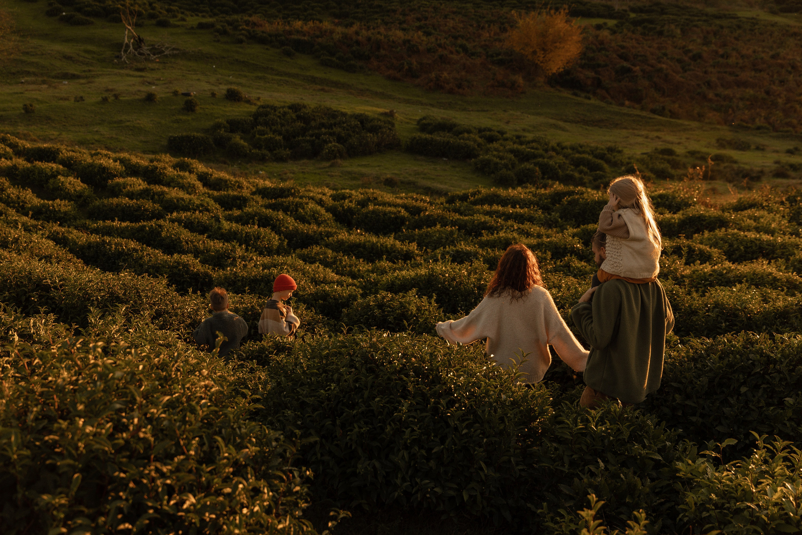 Отзывы. Семейный фотограф в Сочи Лашманова Ольга