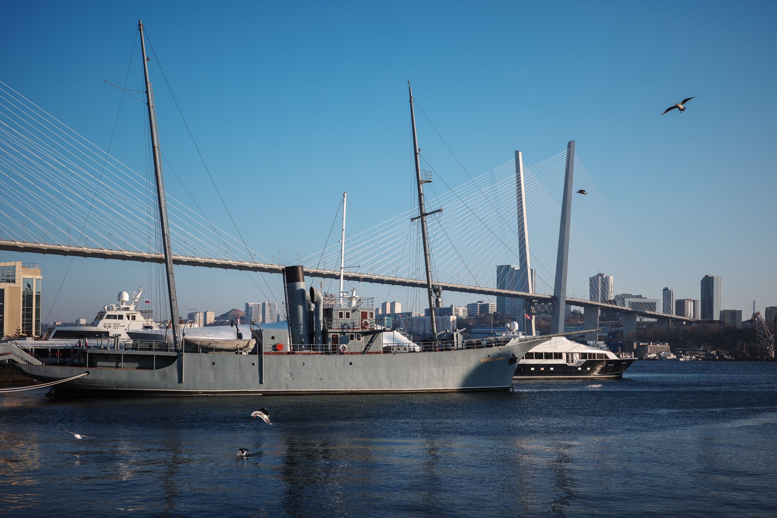 Русская гонка 2025. Фото журналист