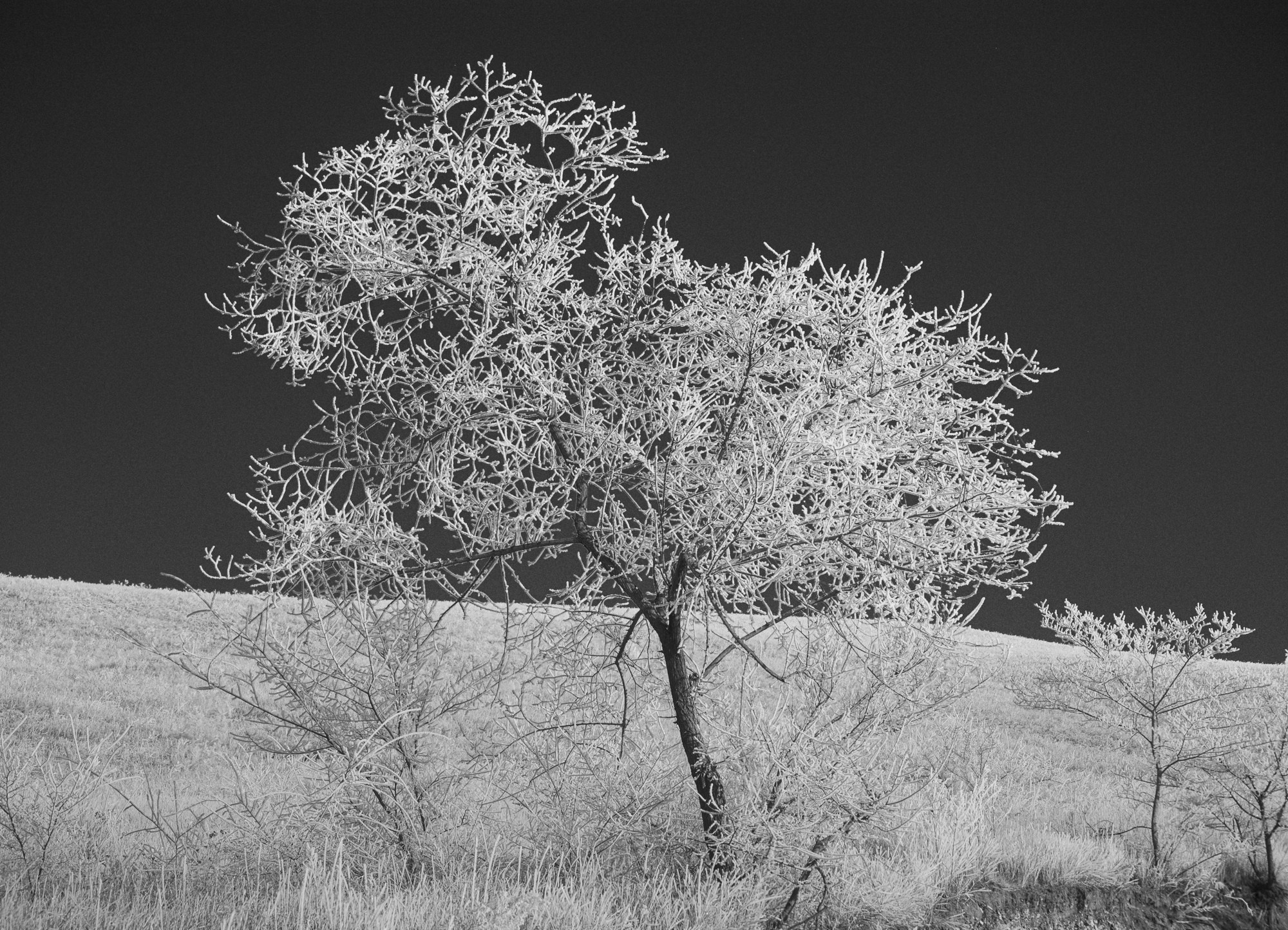 Разное. Репортажный фотограф г. Чита