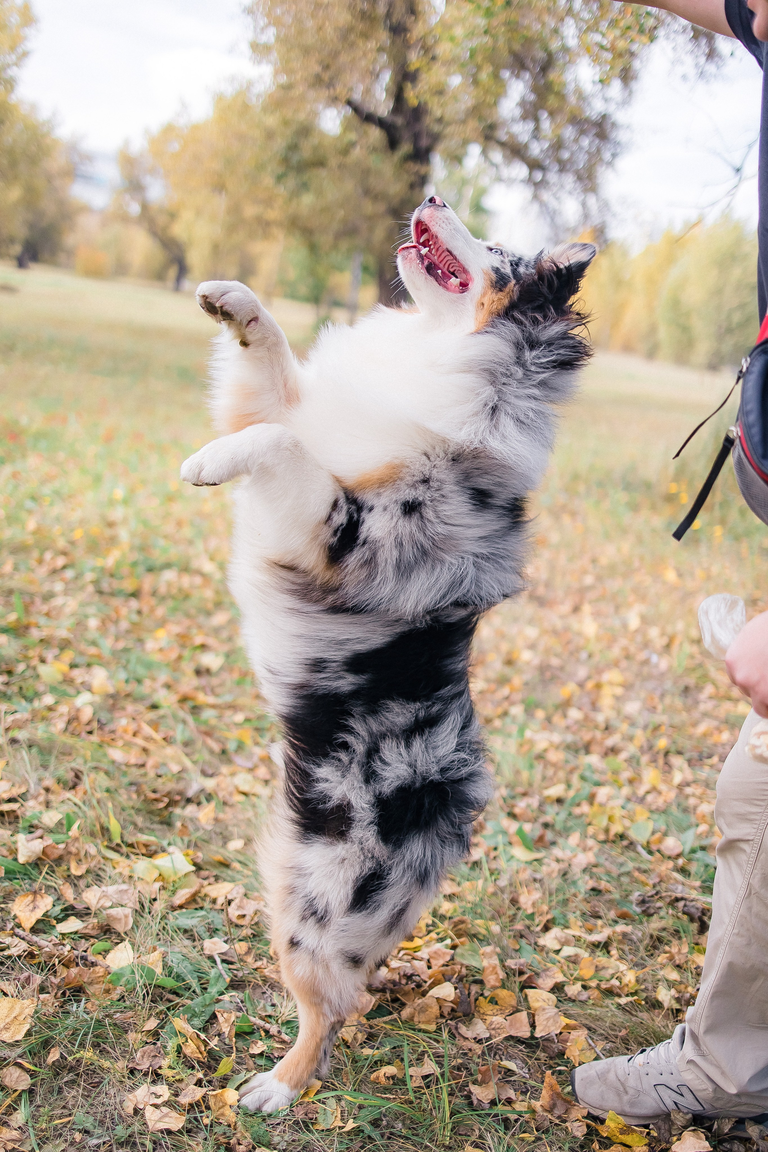Аусси Дэймон. Свадебный и женский фотограф