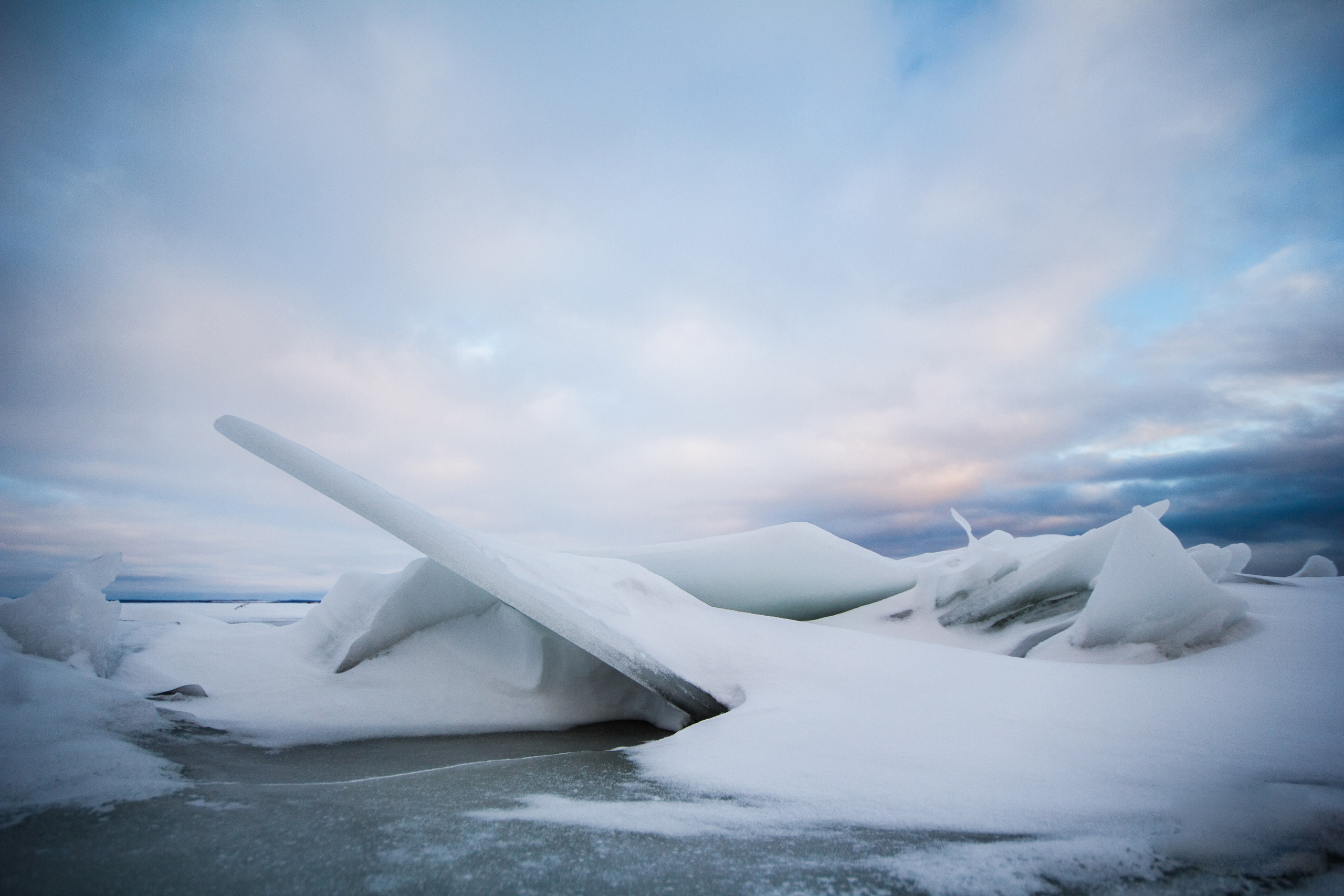 ЦВЕТНЫЕ ФОТОГРАФИИ. Никита Аничкин фото и видео оператор из России