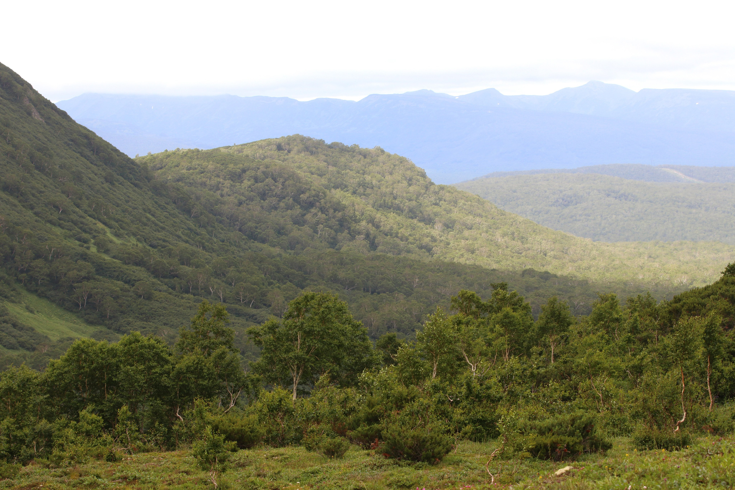 Камчатка и о. Парамушир. Июль 2024. Путешественник-фотограф из Санкт-Петербурга Татьяна Свистулина
